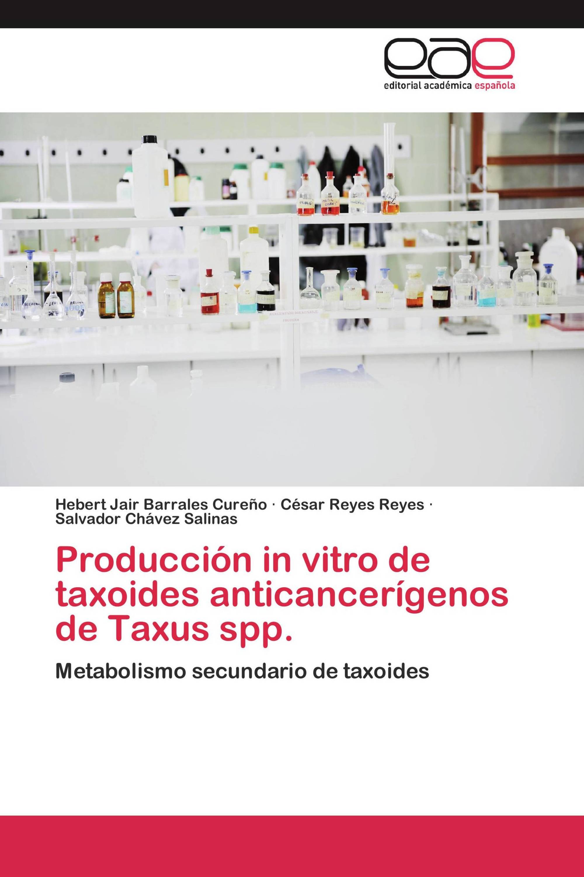 Producción in vitro de taxoides anticancerígenos de Taxus spp.