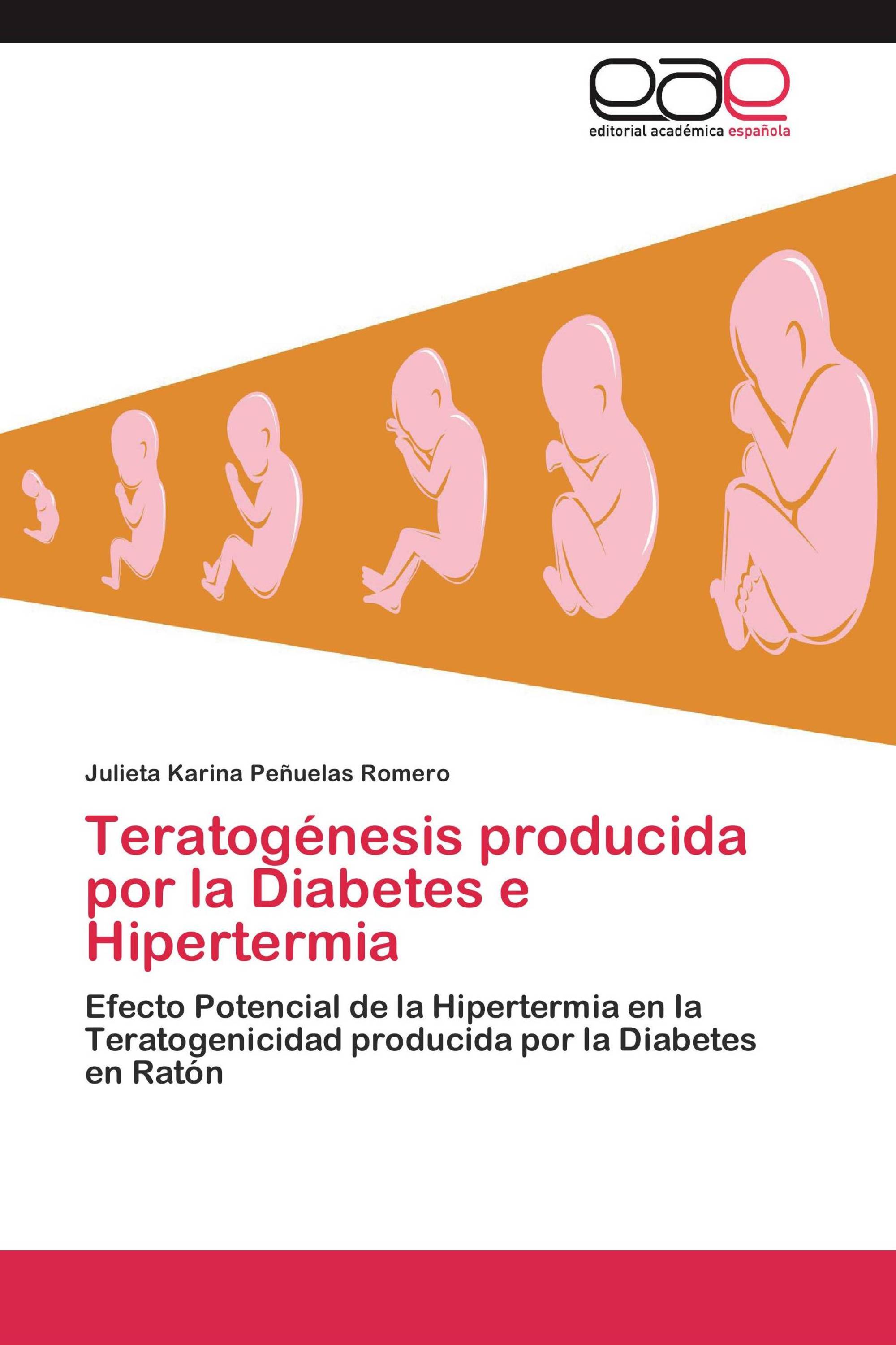 Teratogénesis producida por la Diabetes e Hipertermia
