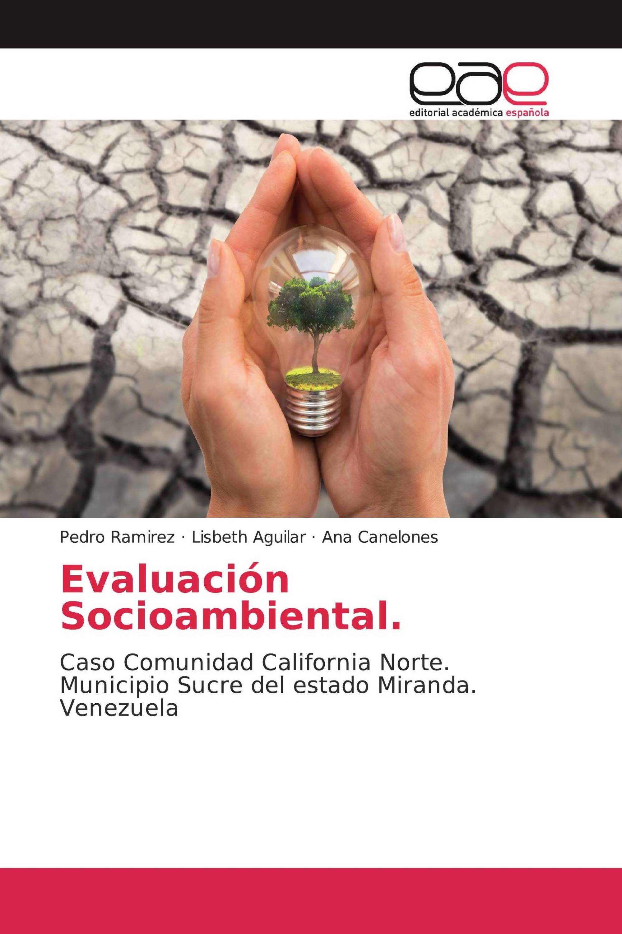 Evaluación Socioambiental.