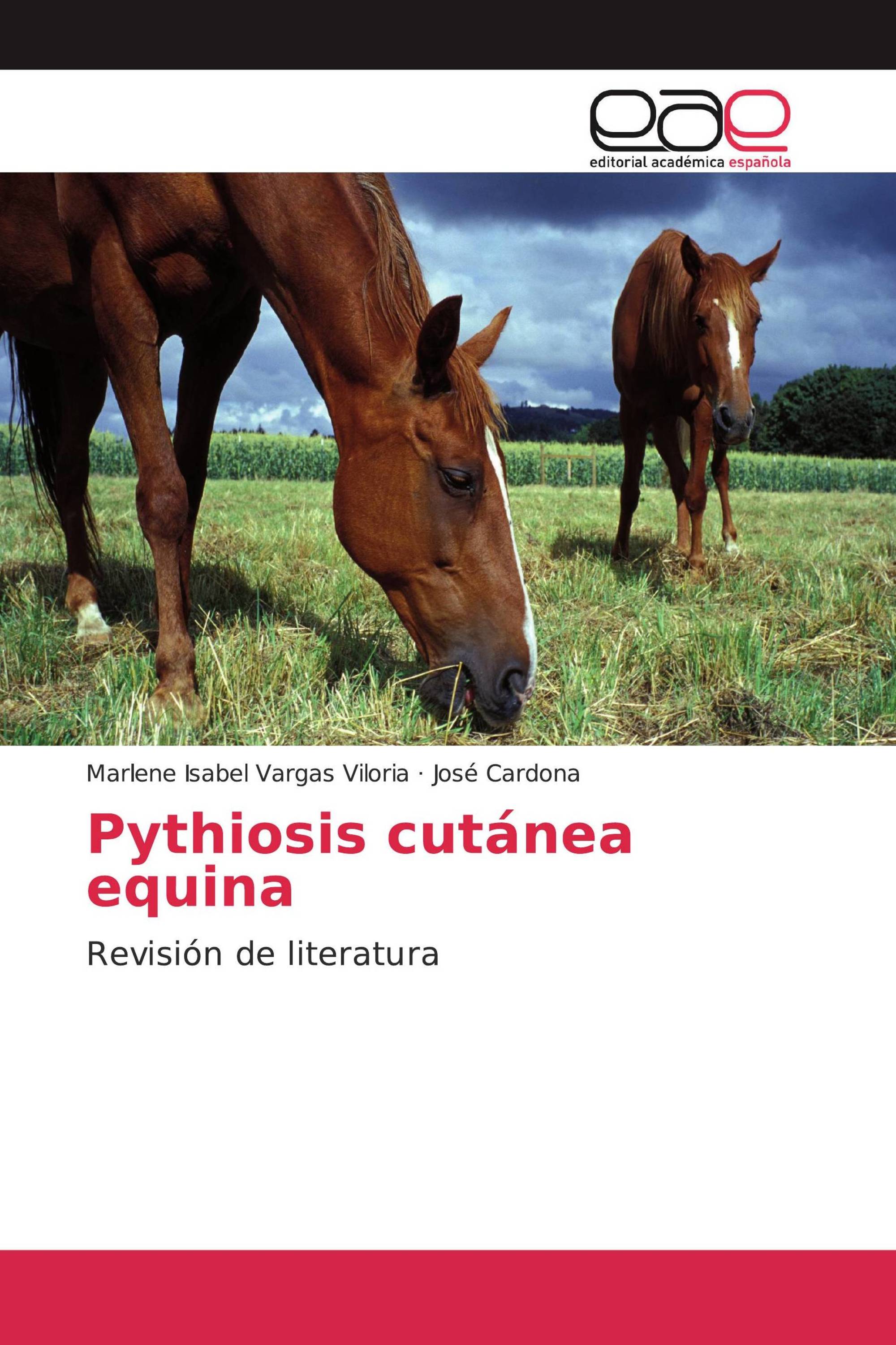 Pythiosis cutánea equina