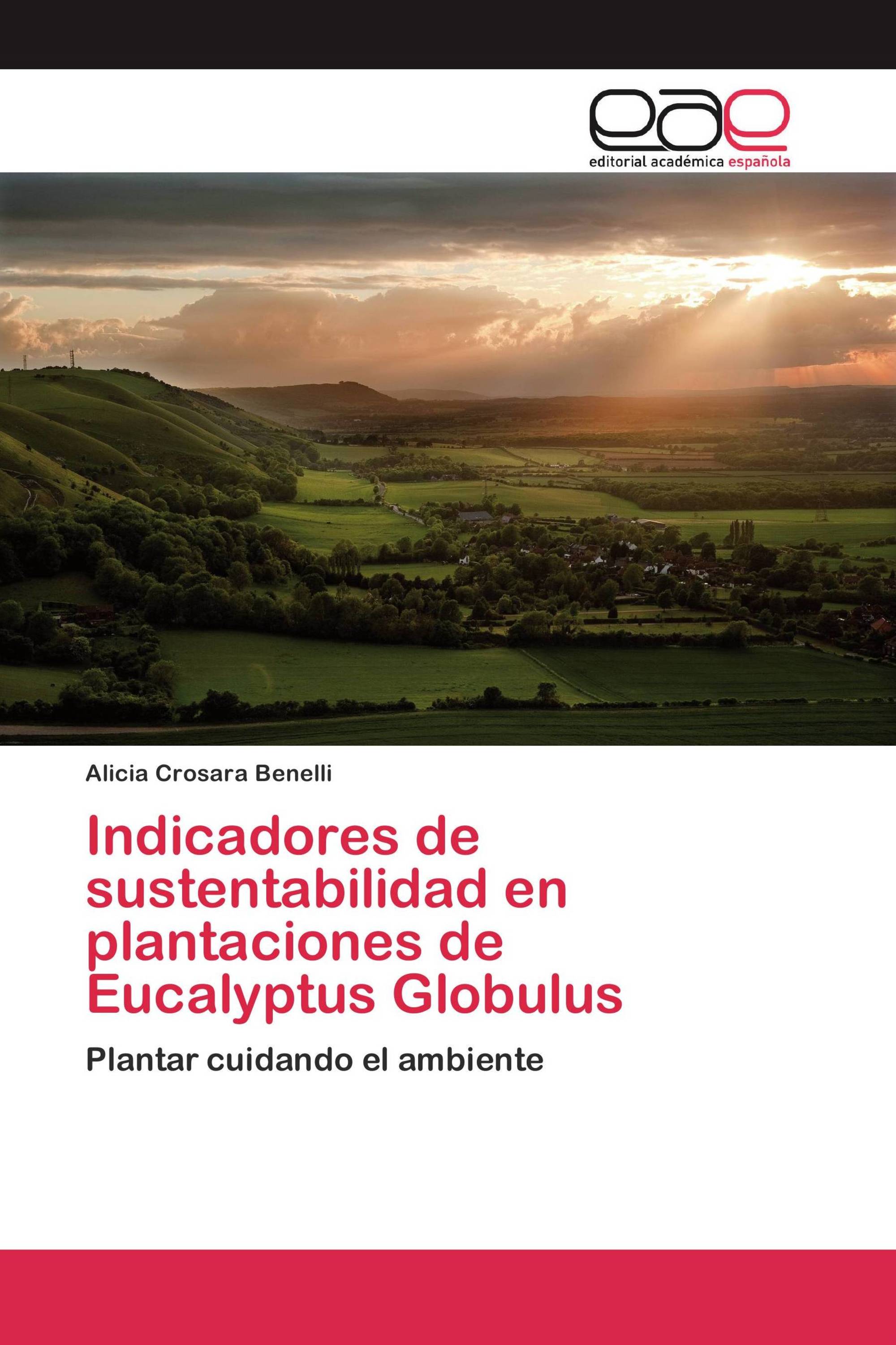 Indicadores de sustentabilidad en plantaciones de Eucalyptus Globulus