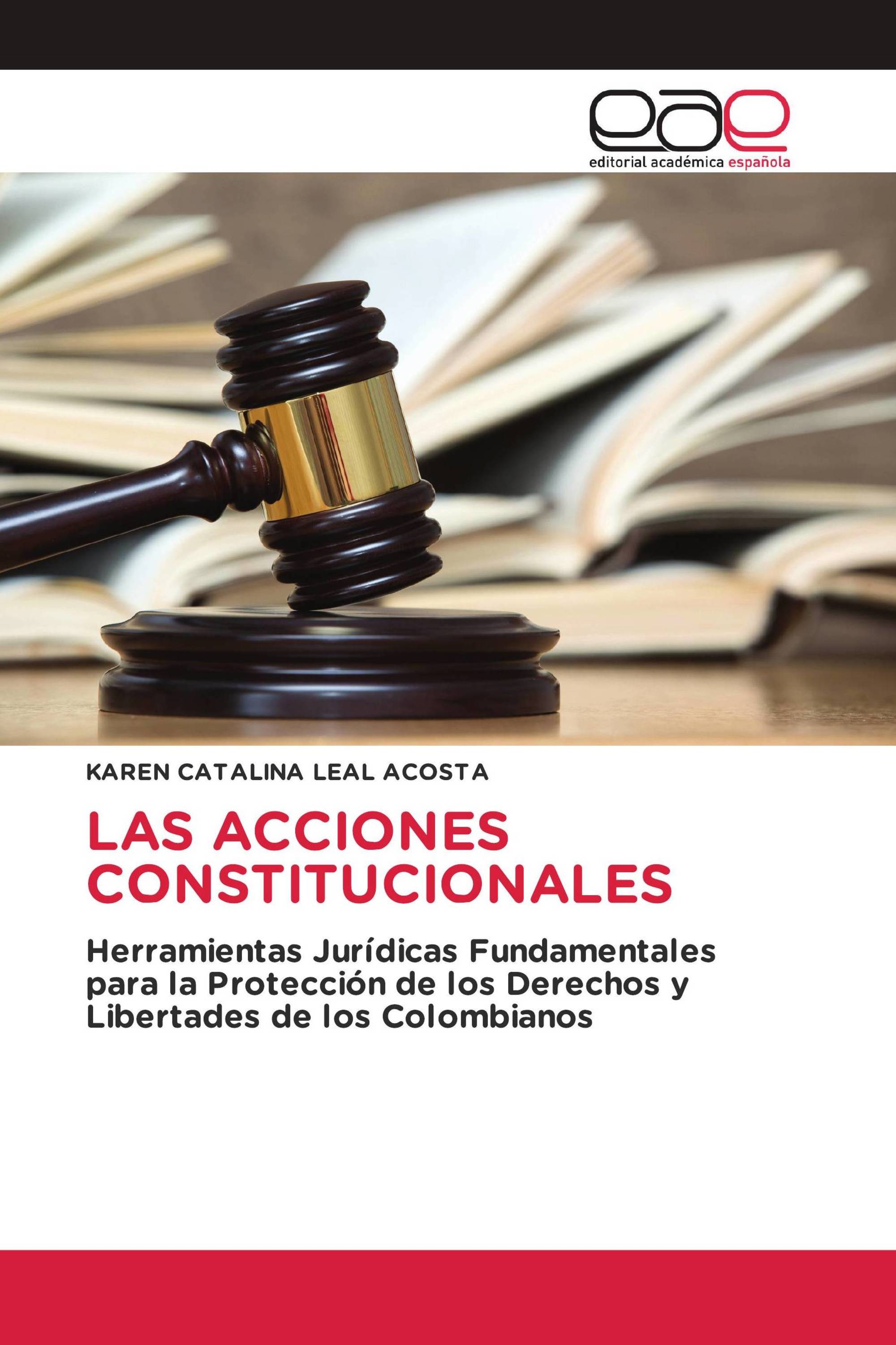 LAS ACCIONES CONSTITUCIONALES