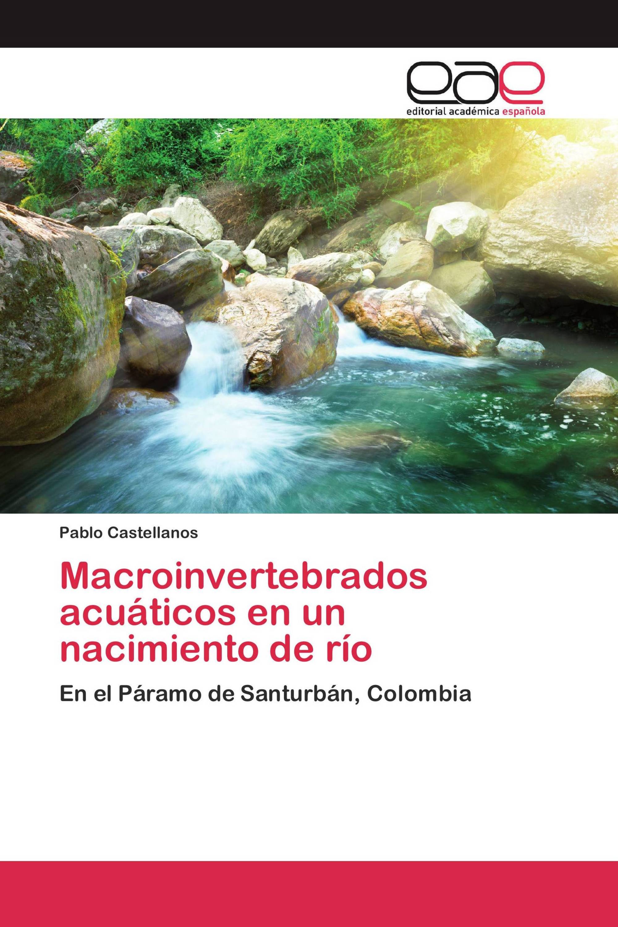 Macroinvertebrados acuáticos en un nacimiento de río