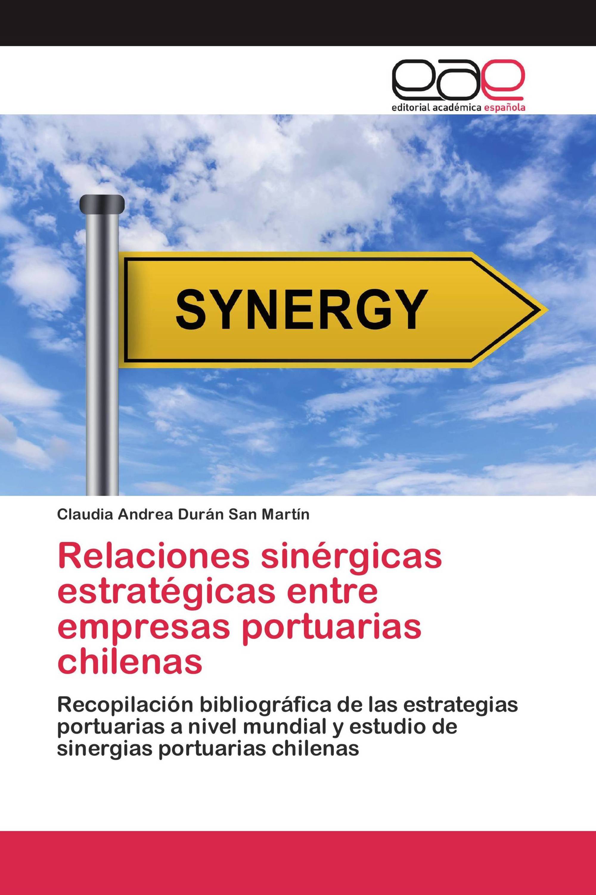 Relaciones sinérgicas estratégicas entre empresas portuarias chilenas