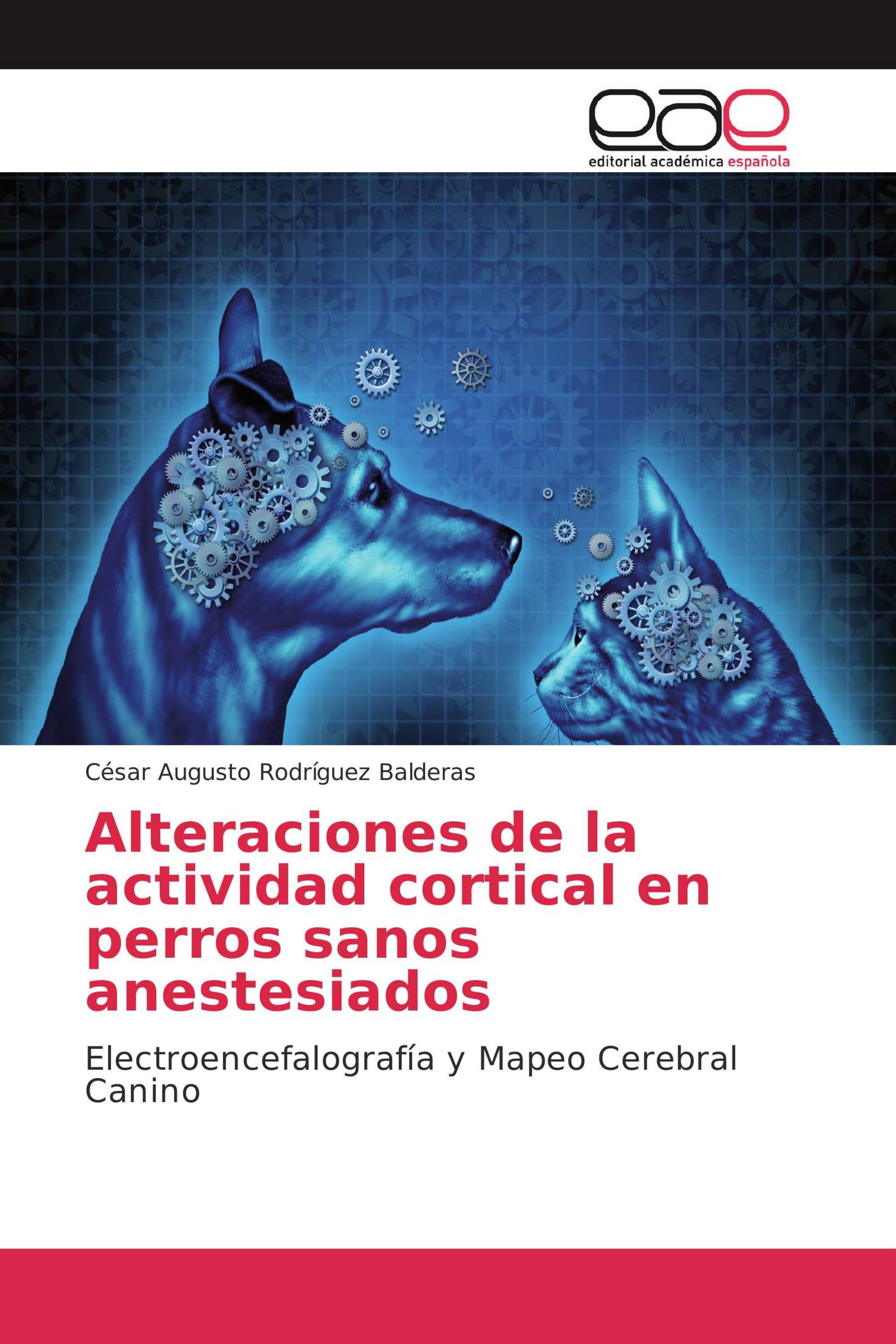 Alteraciones de la actividad cortical en perros sanos anestesiados