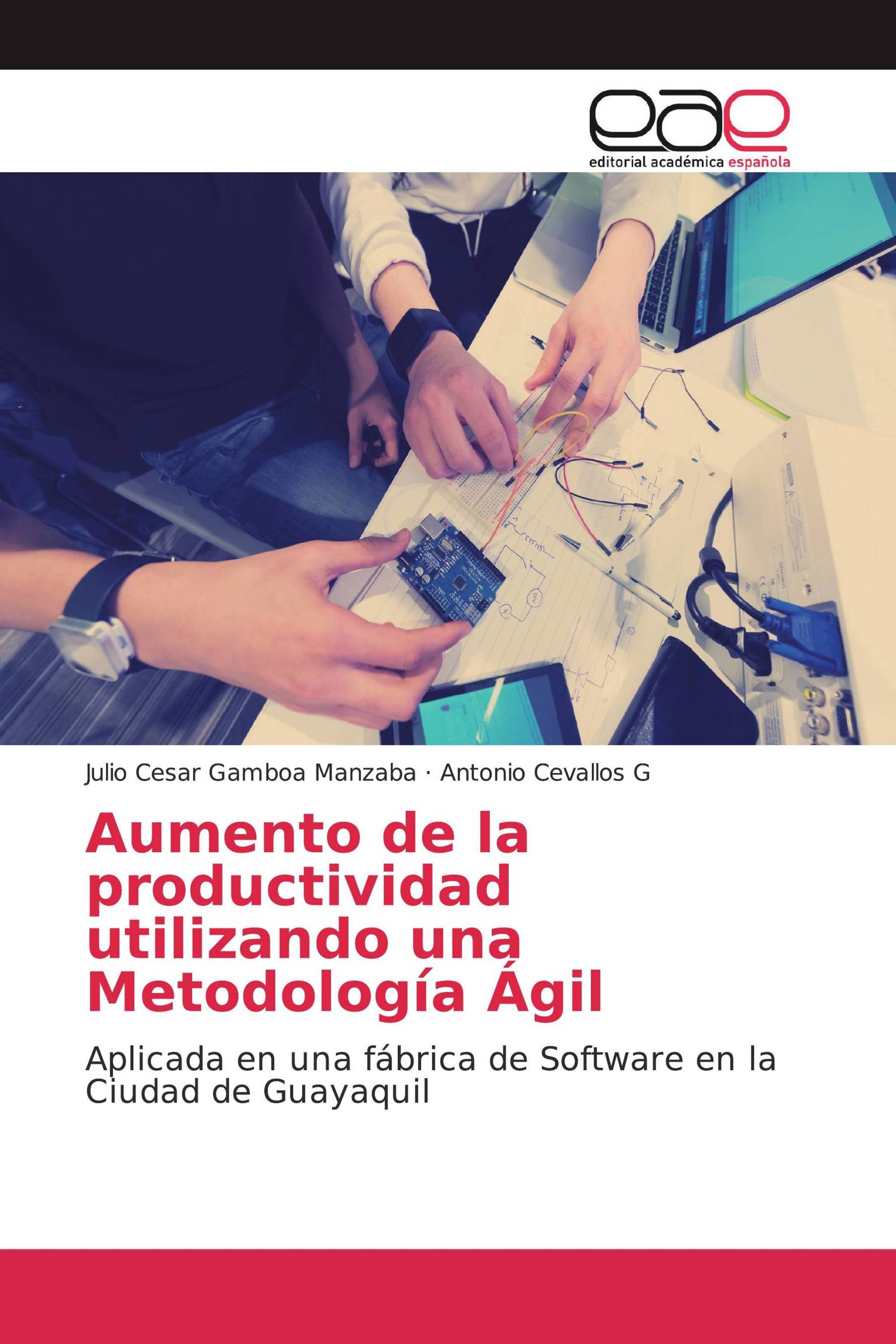 Aumento de la productividad utilizando una Metodología Ágil