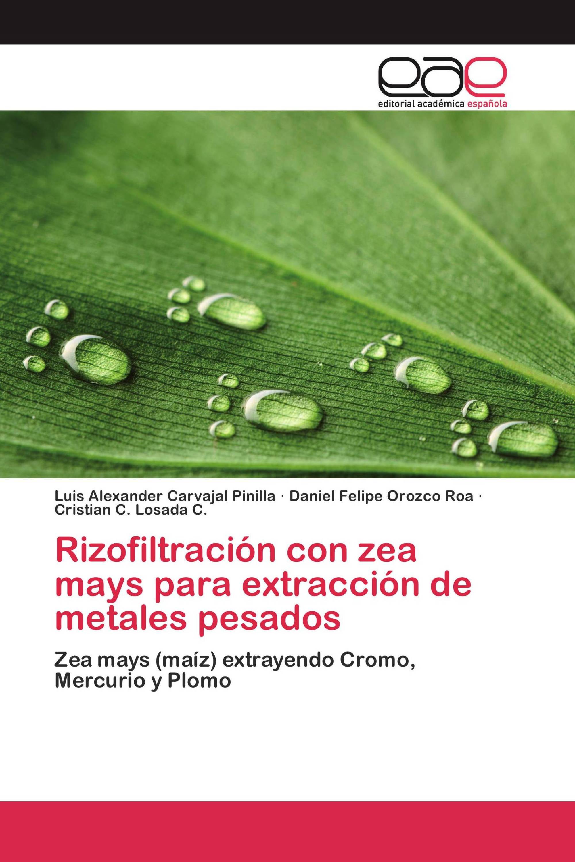 Rizofiltración con zea mays para extracción de metales pesados