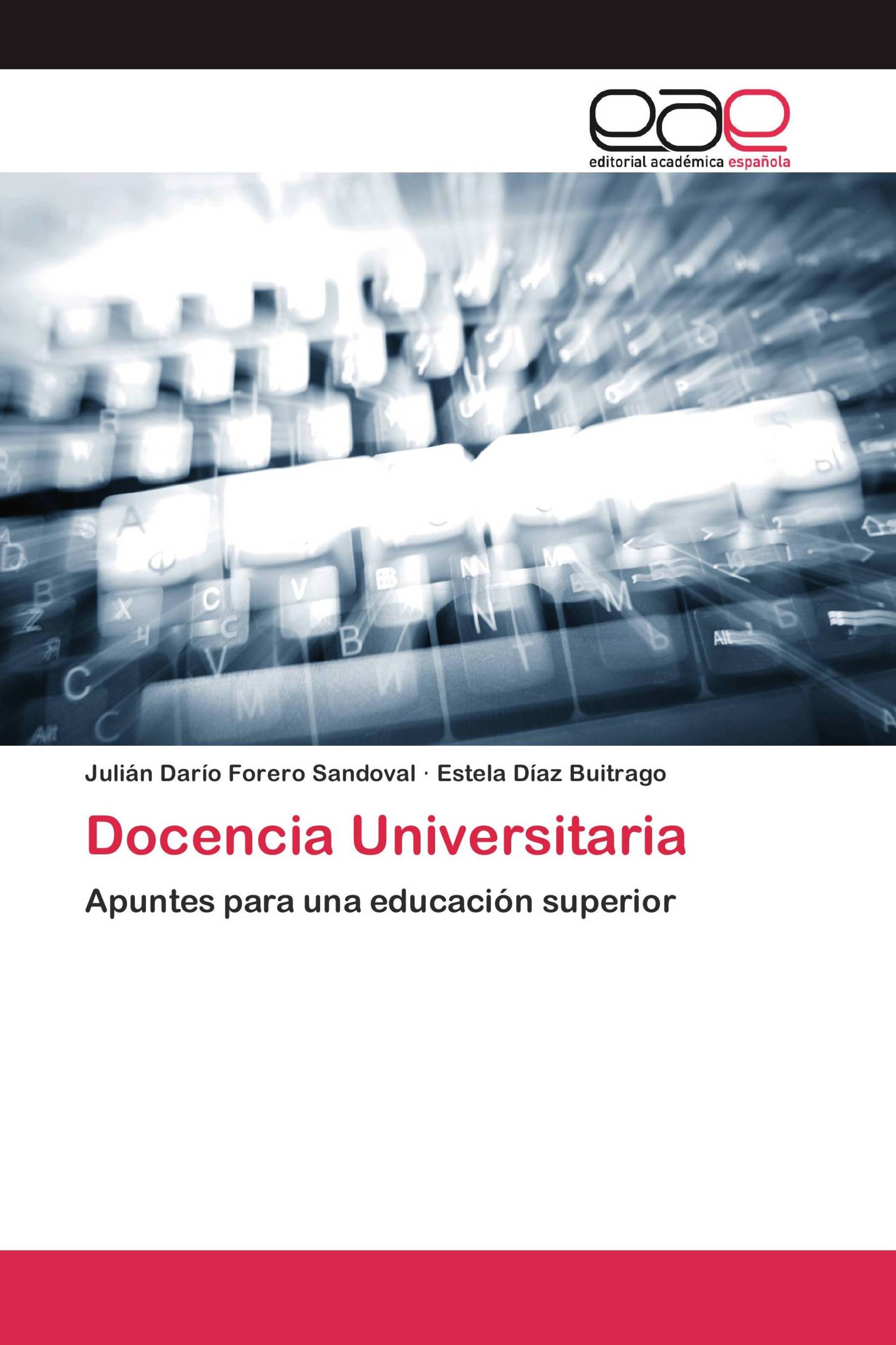 Docencia Universitaria