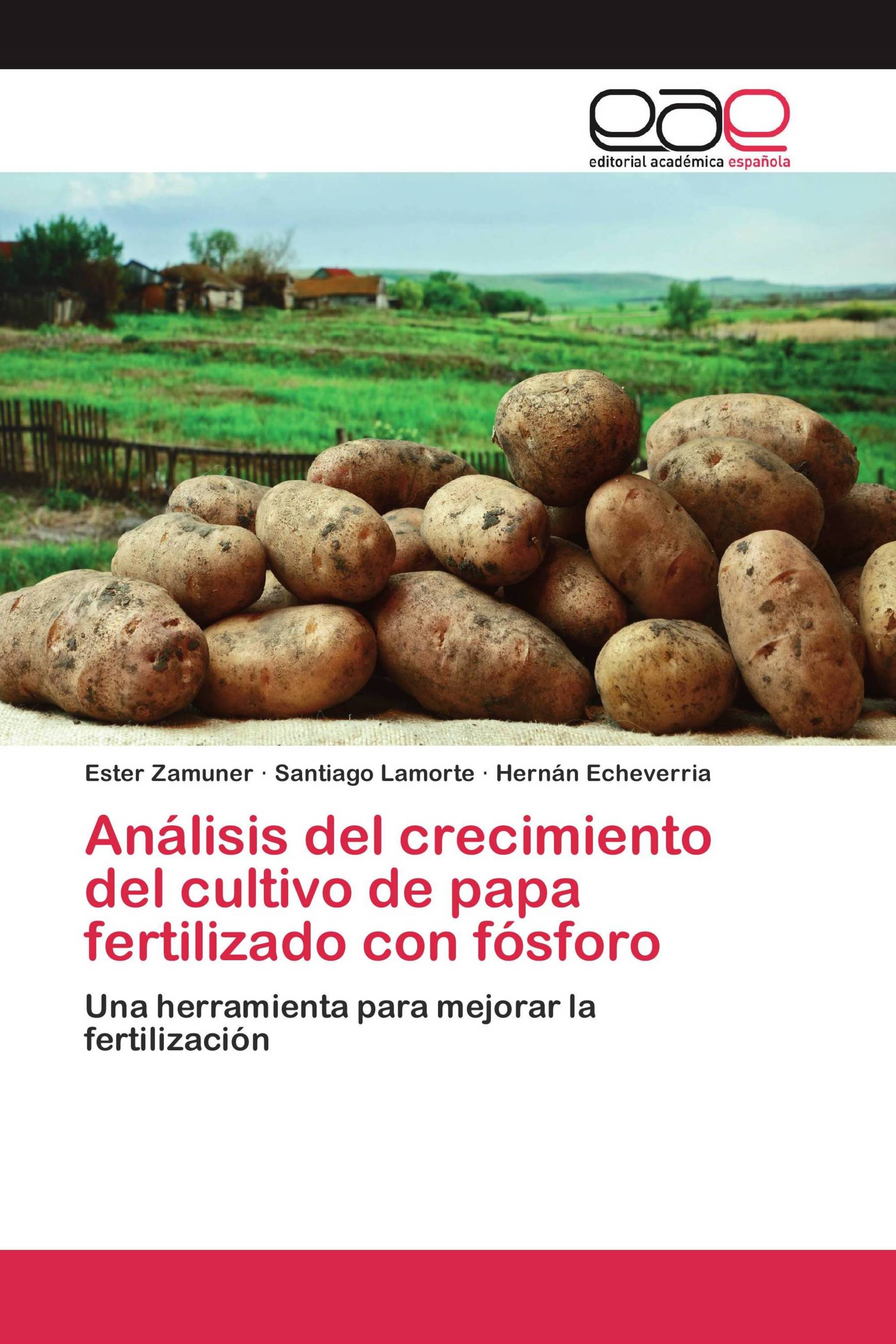 Análisis del crecimiento del cultivo de papa fertilizado con fósforo