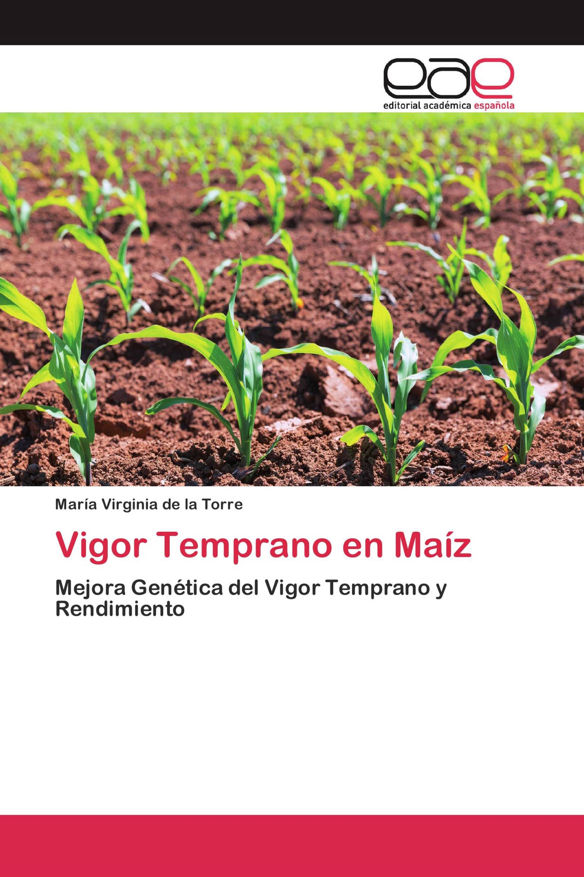 Vigor Temprano en Maíz