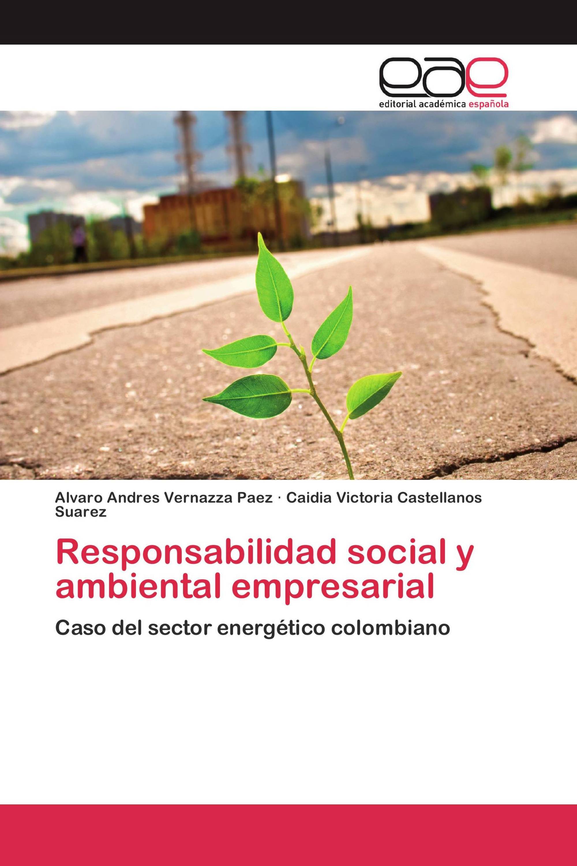 Responsabilidad social y ambiental empresarial