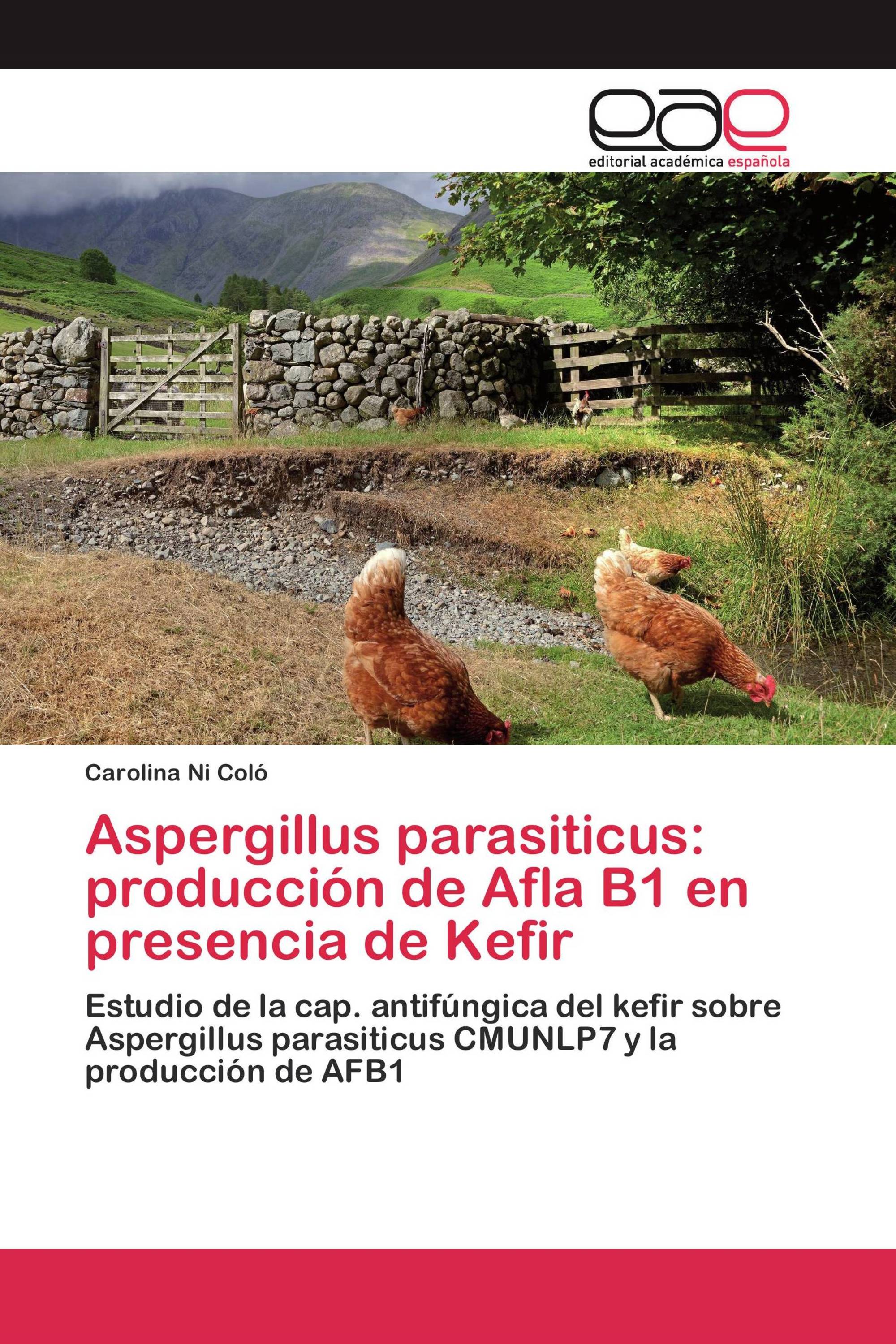 Aspergillus parasiticus: producción de Afla B1 en presencia de Kefir