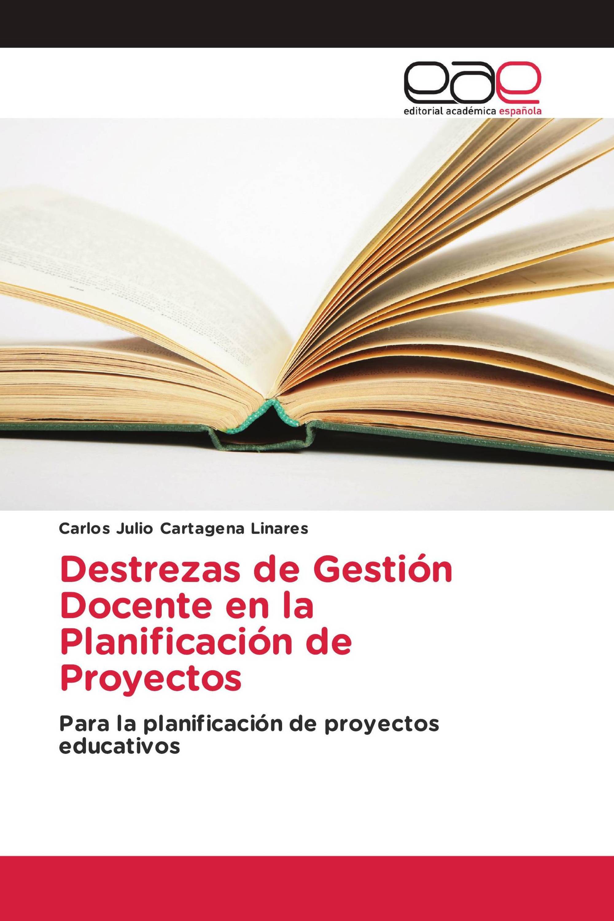 Destrezas de Gestión Docente en la Planificación de Proyectos