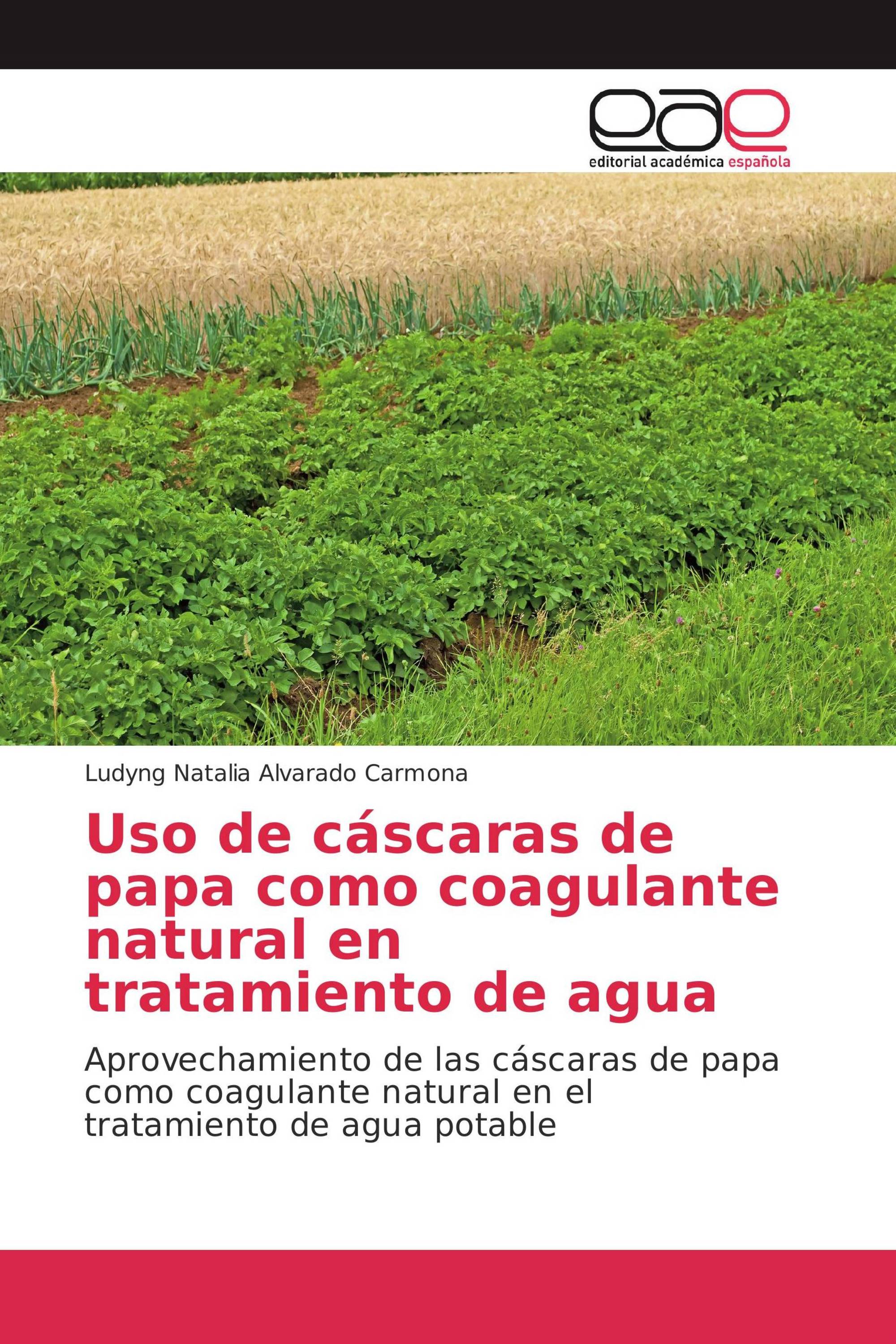 Uso de cáscaras de papa como coagulante natural en tratamiento de agua