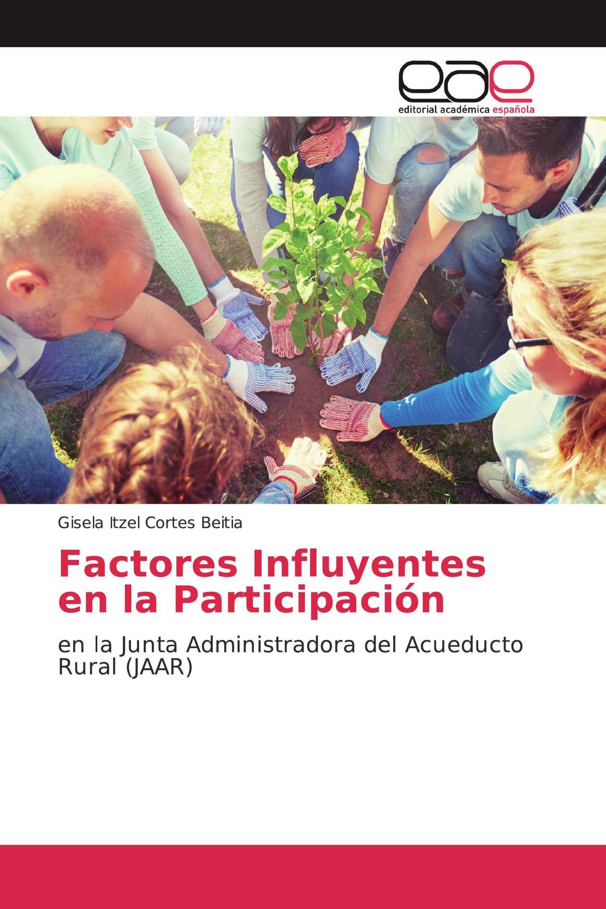 Factores Influyentes en la Participación