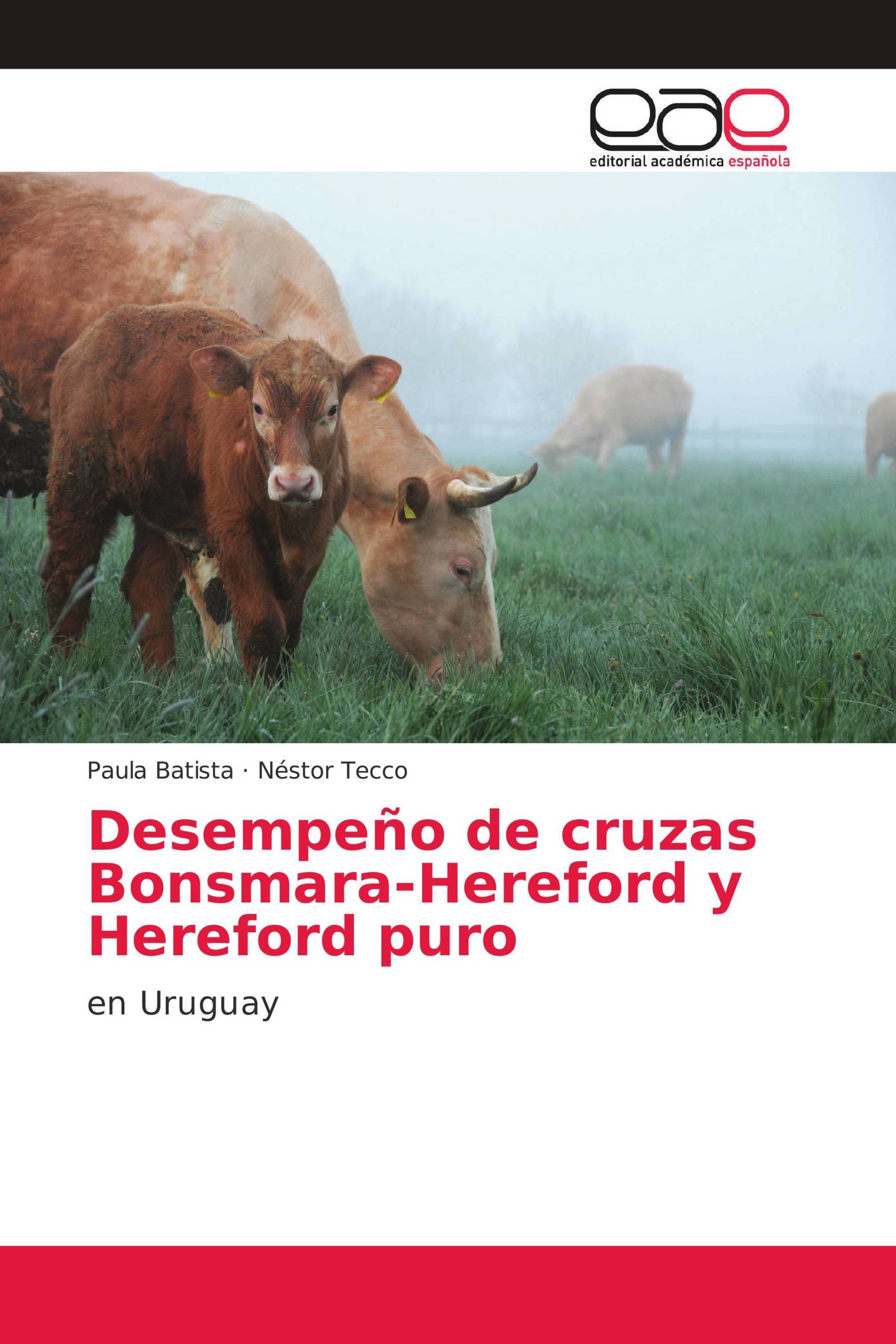 Desempeño de cruzas Bonsmara-Hereford y Hereford puro