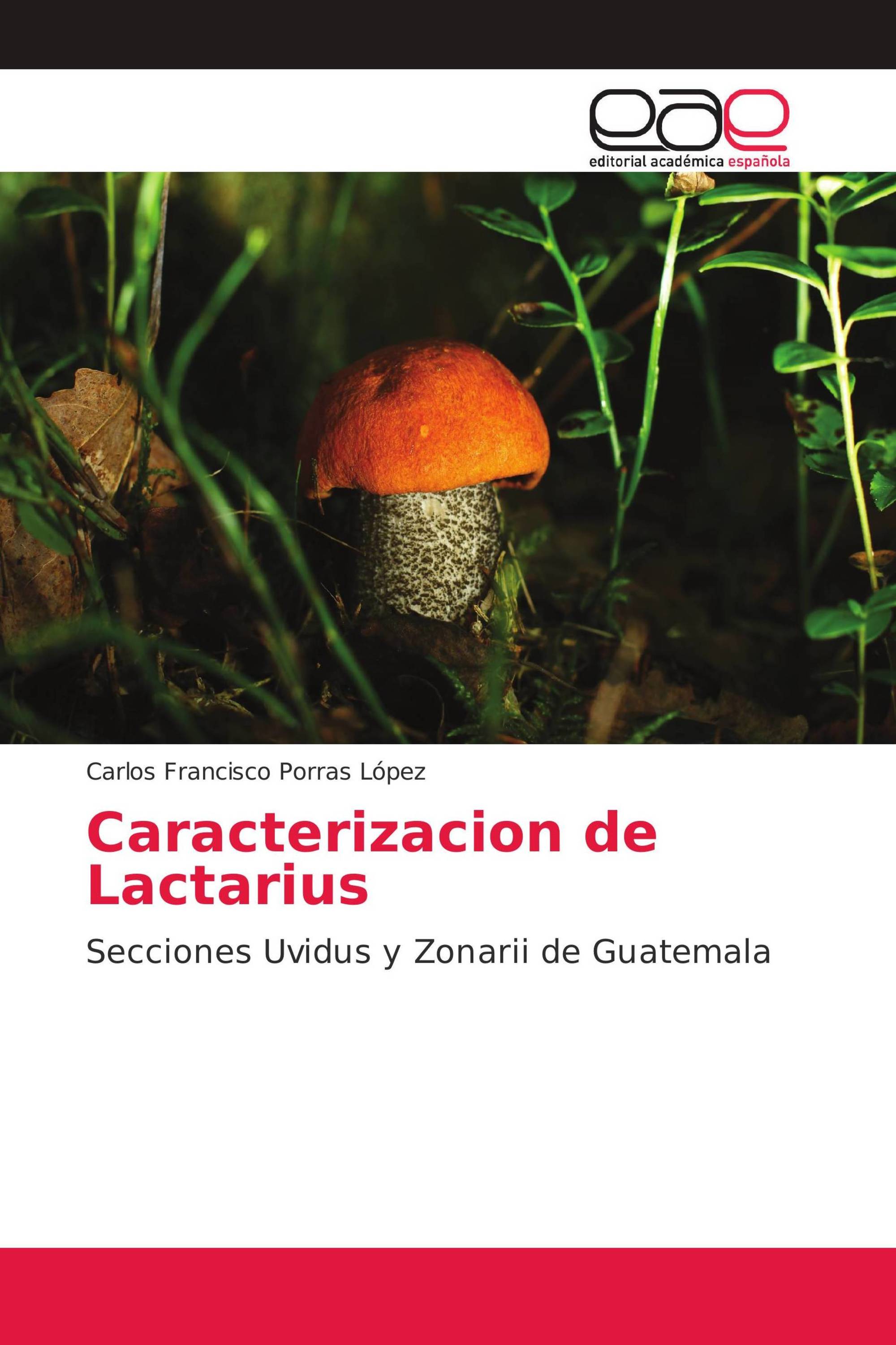 Caracterizacion de Lactarius