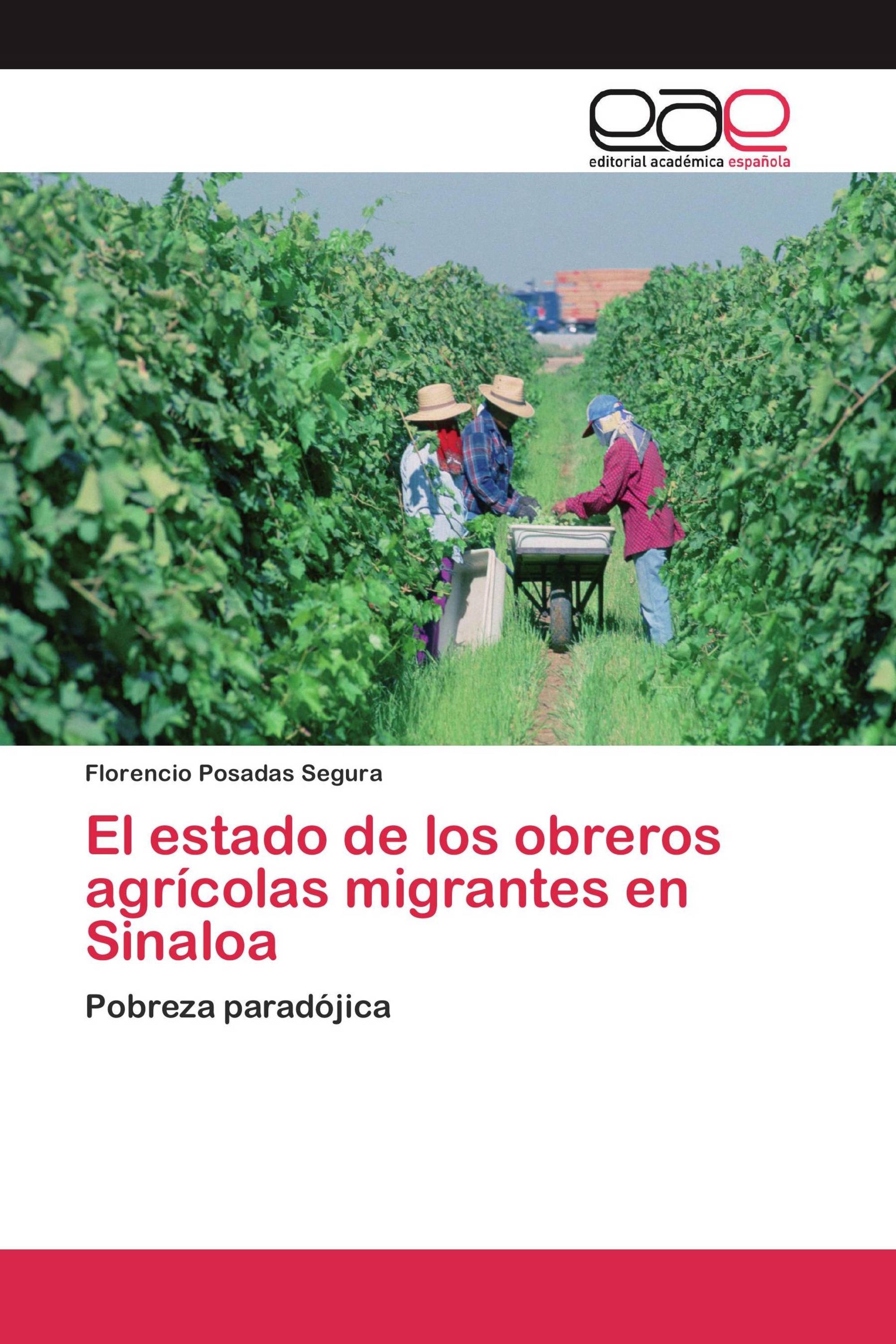 El estado de los obreros agrícolas migrantes en Sinaloa