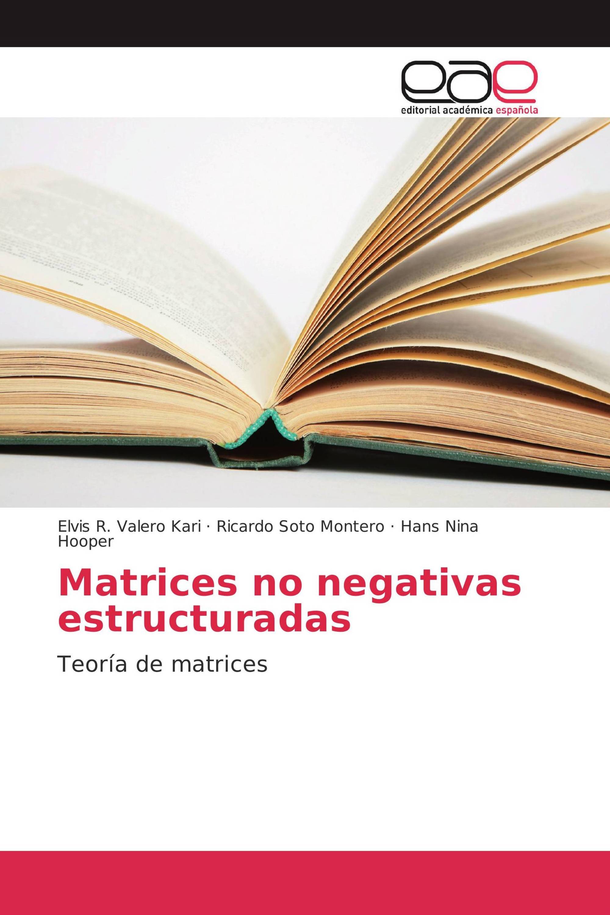 Matrices no negativas estructuradas