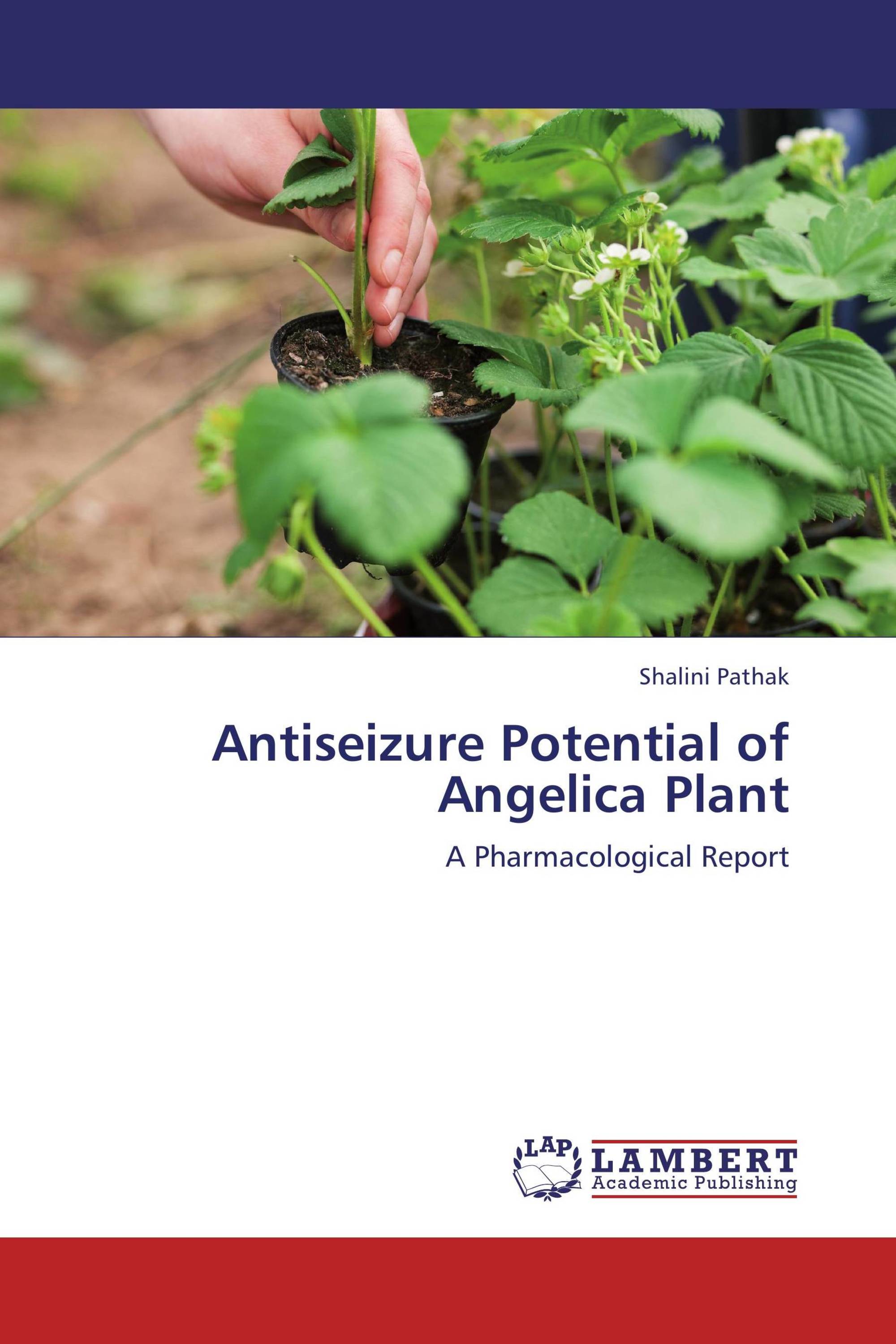 Antiseizure Potential of Angelica Plant