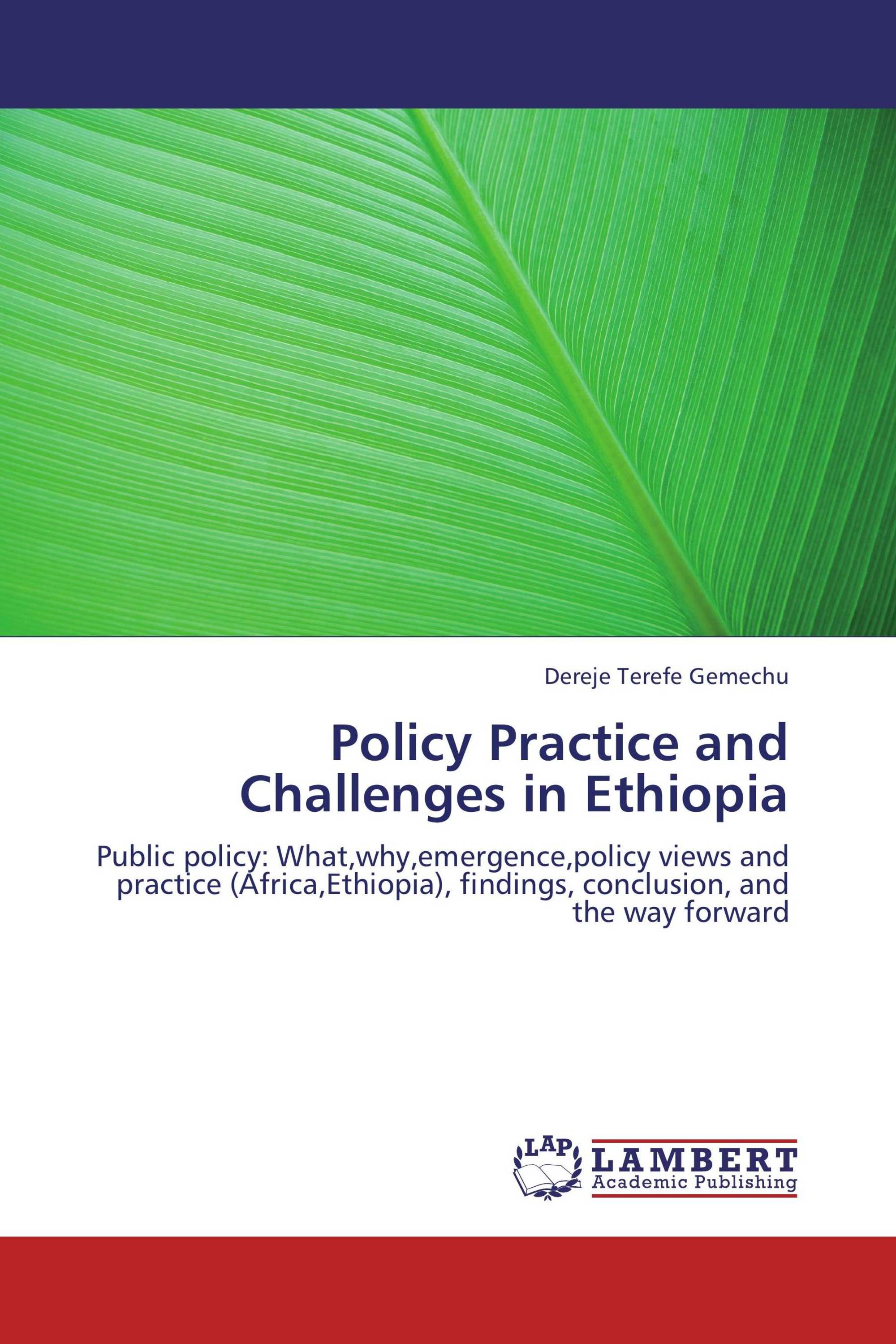 Policy Practice and Challenges in Ethiopia