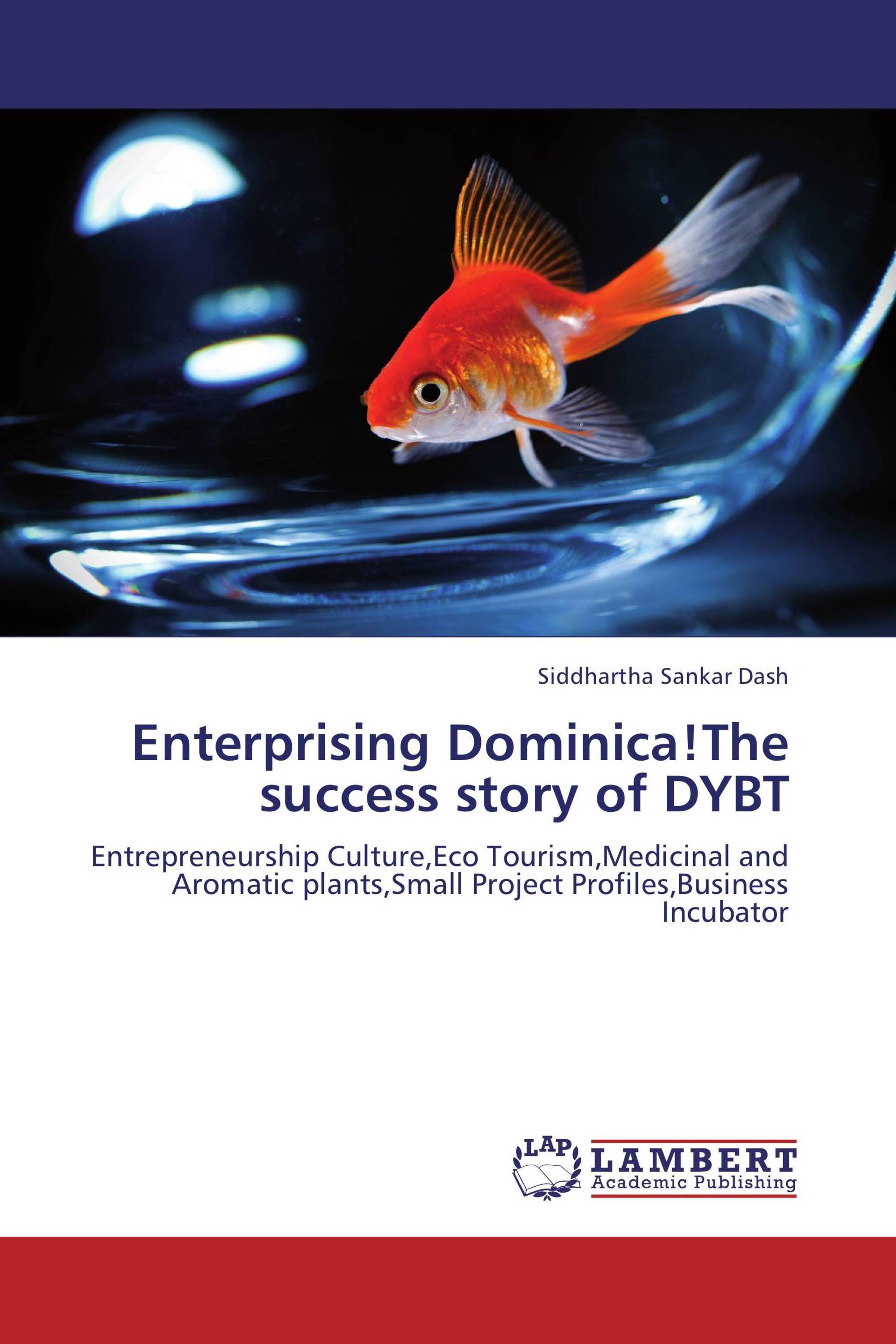 Enterprising Dominica!The success story of DYBT