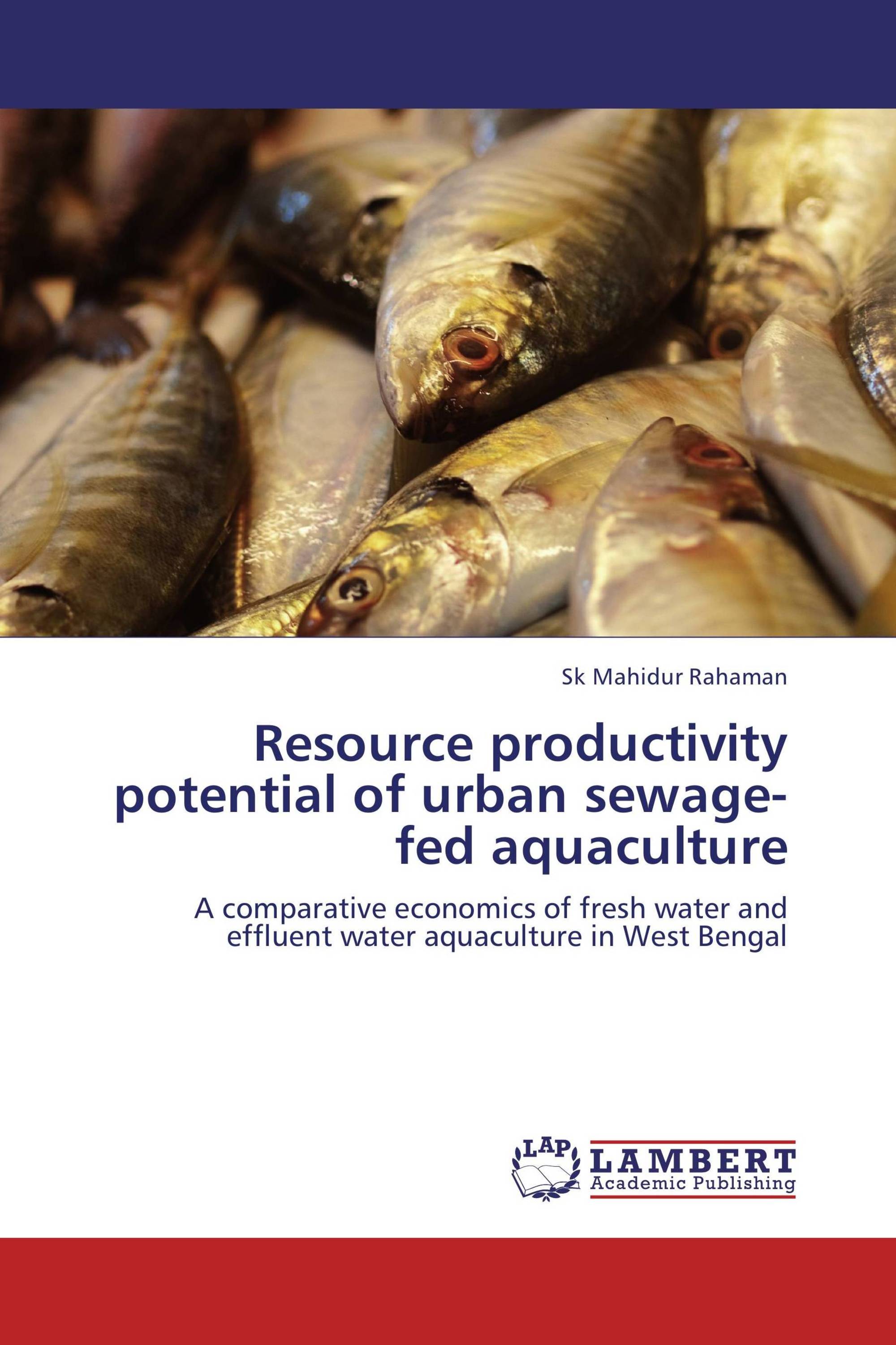 Resource productivity potential of urban sewage-fed aquaculture