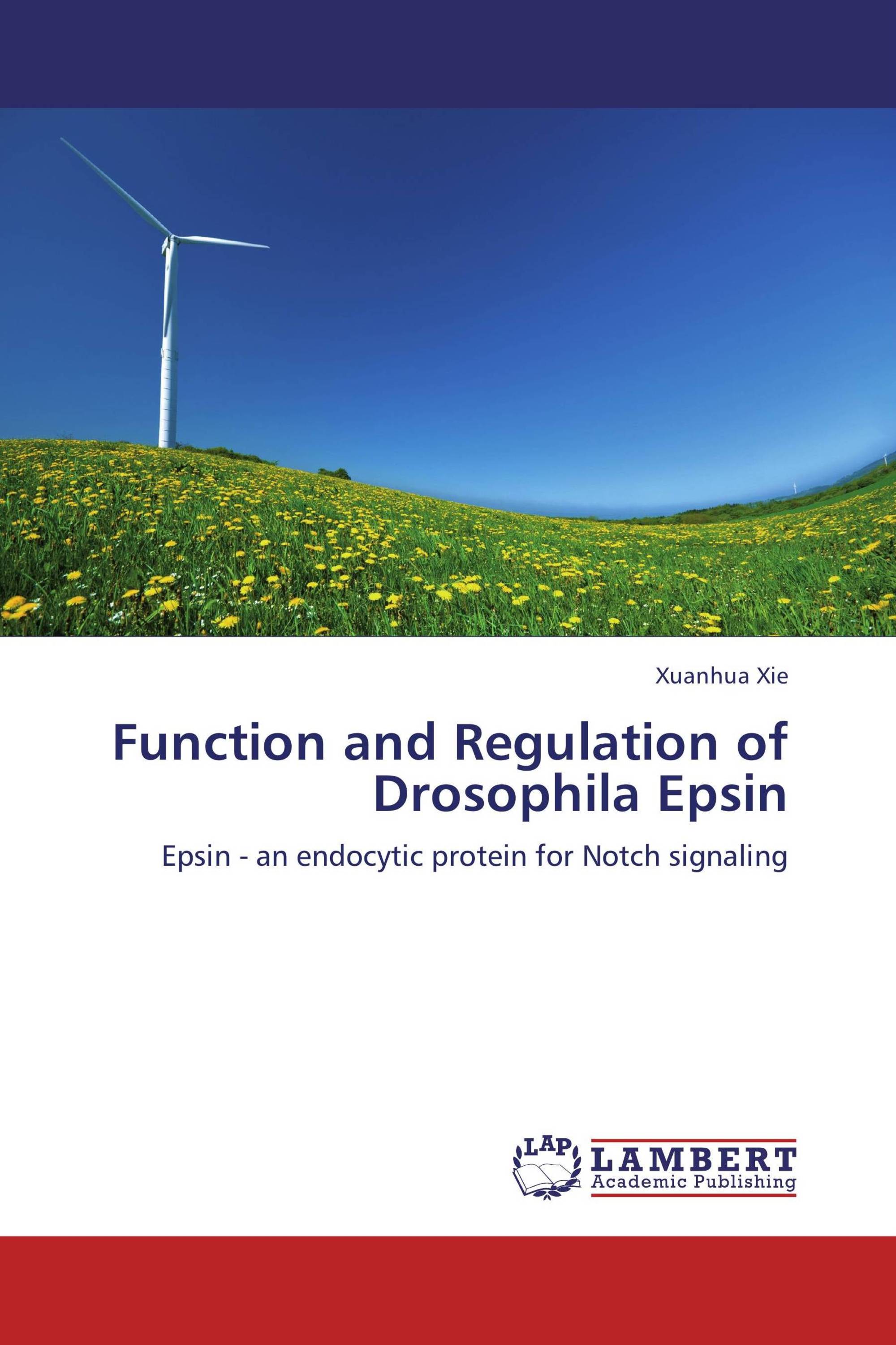 Function and Regulation of Drosophila Epsin