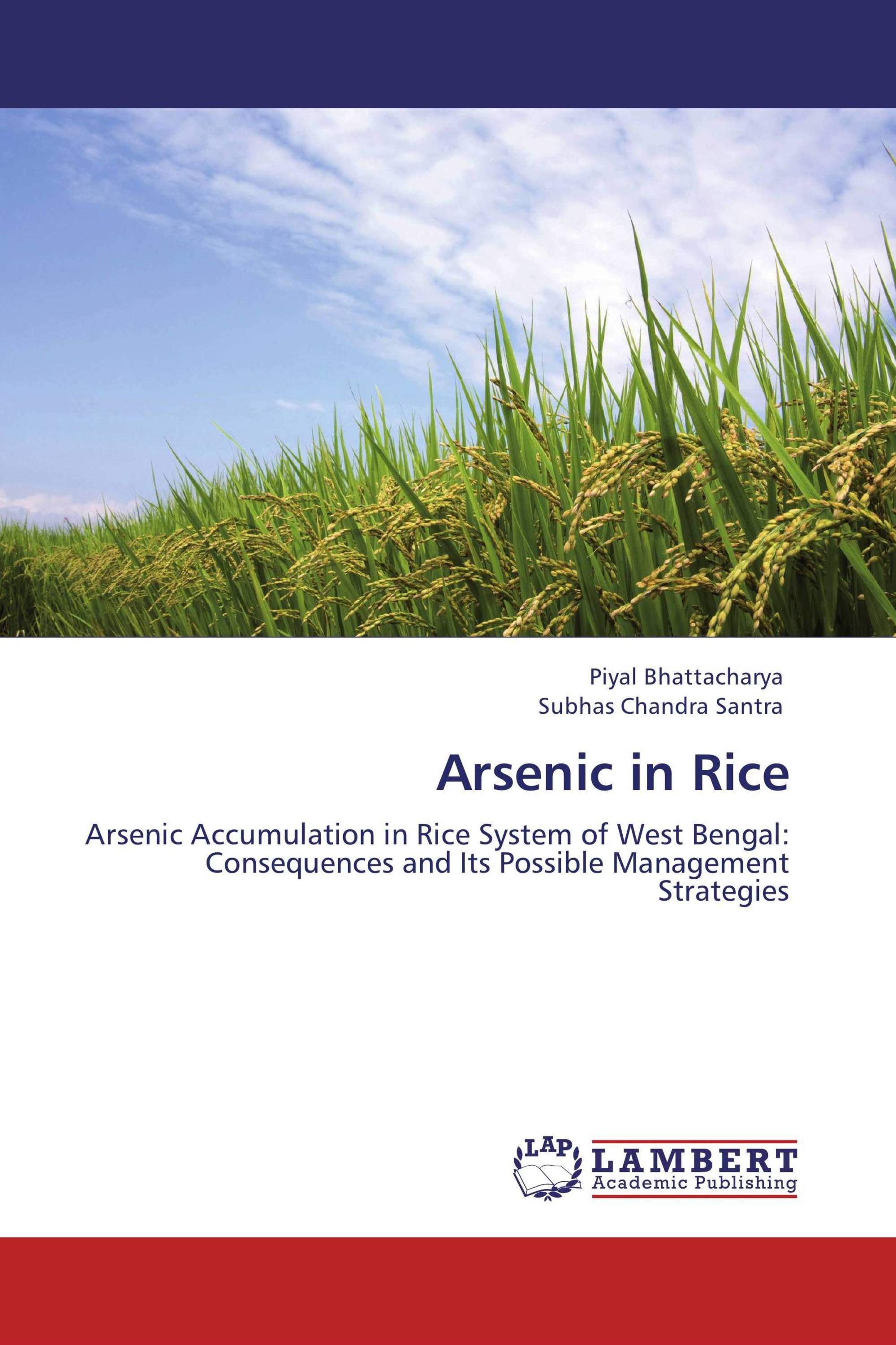 Arsenic in Rice / 9783659130007 / 9783659130007 / 3659130001
