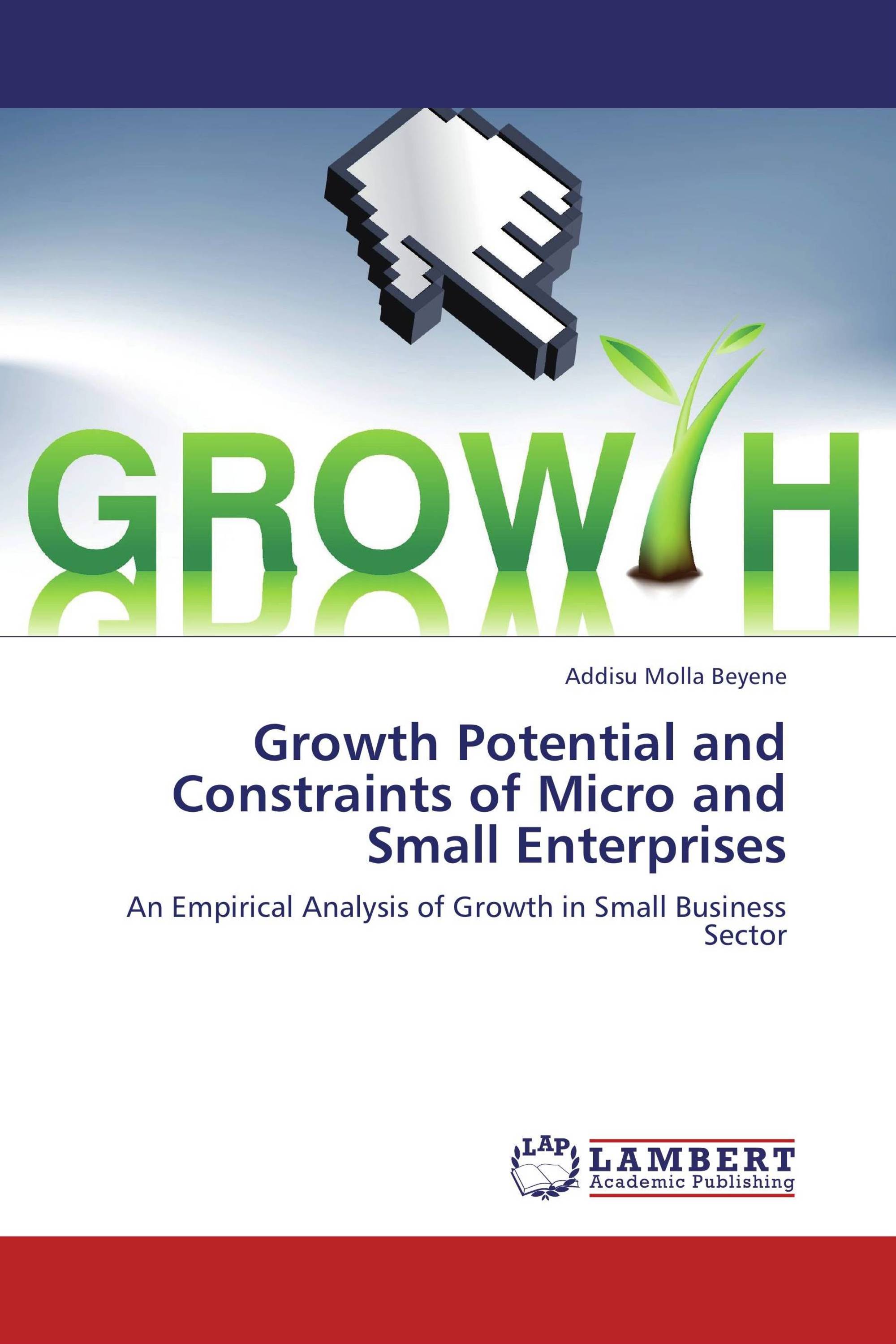 Growth Potential and Constraints of Micro and Small Enterprises