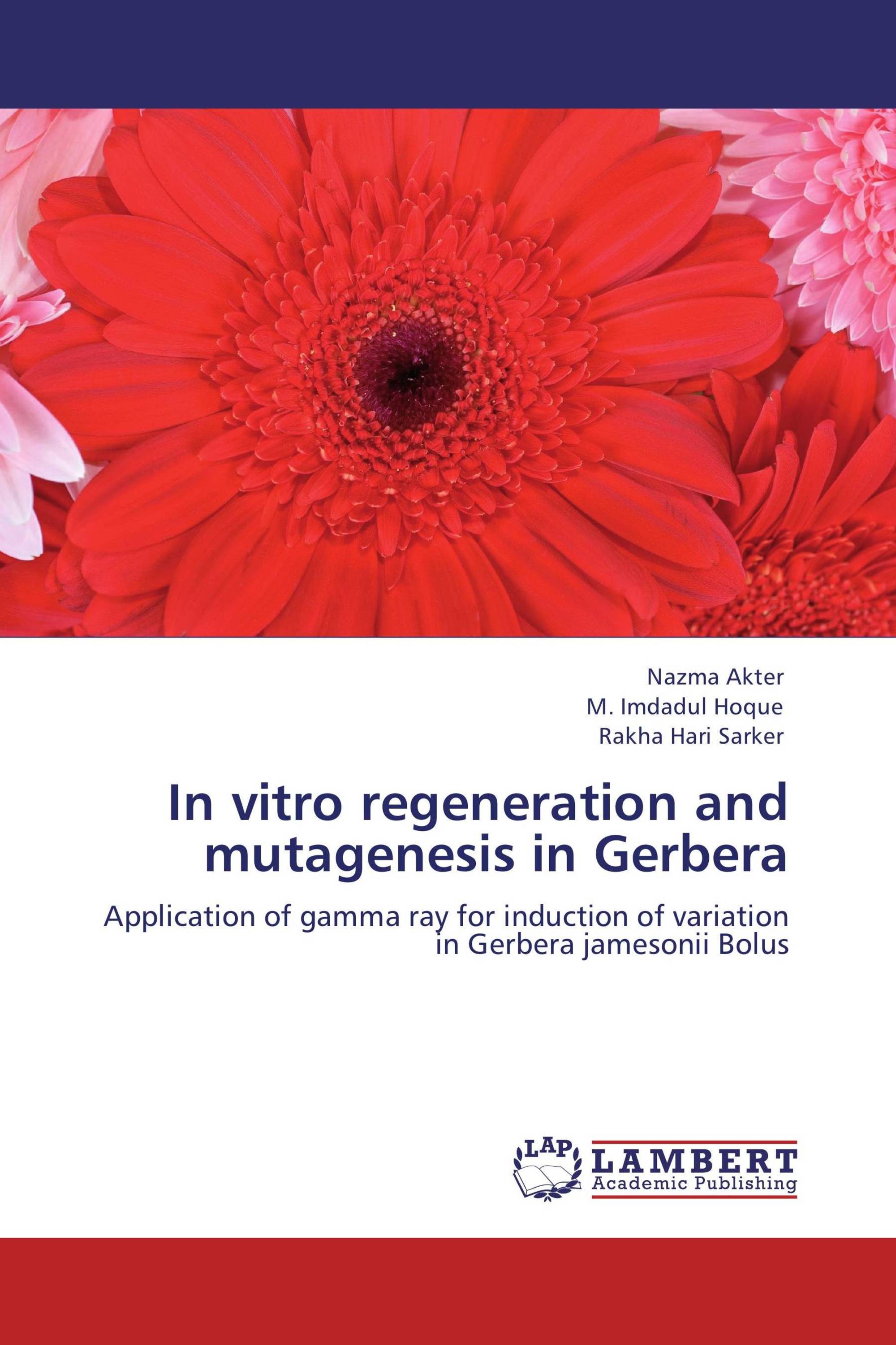 In vitro regeneration and mutagenesis in Gerbera