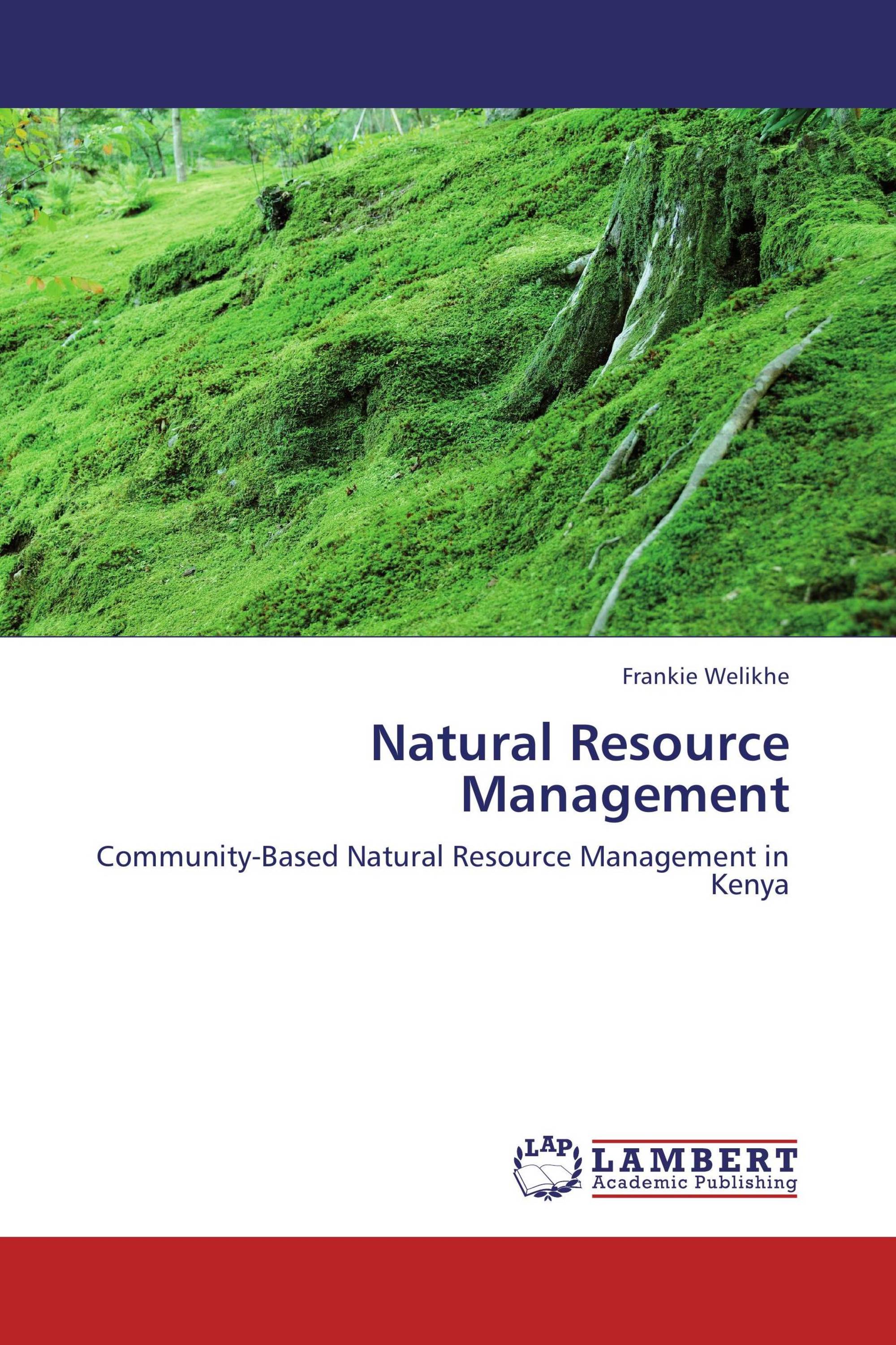 thesis natural resource management