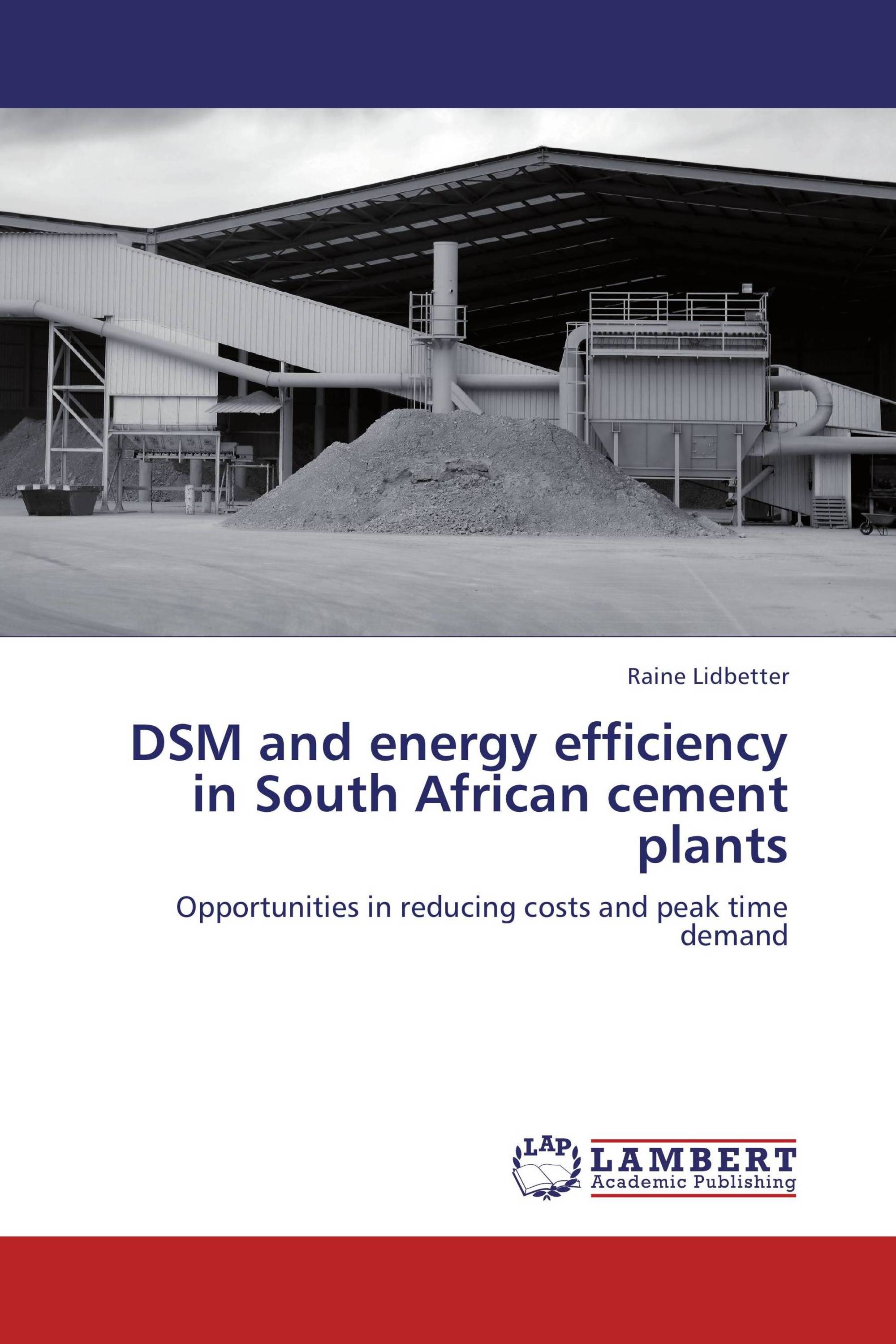 DSM and energy efficiency in South African cement plants