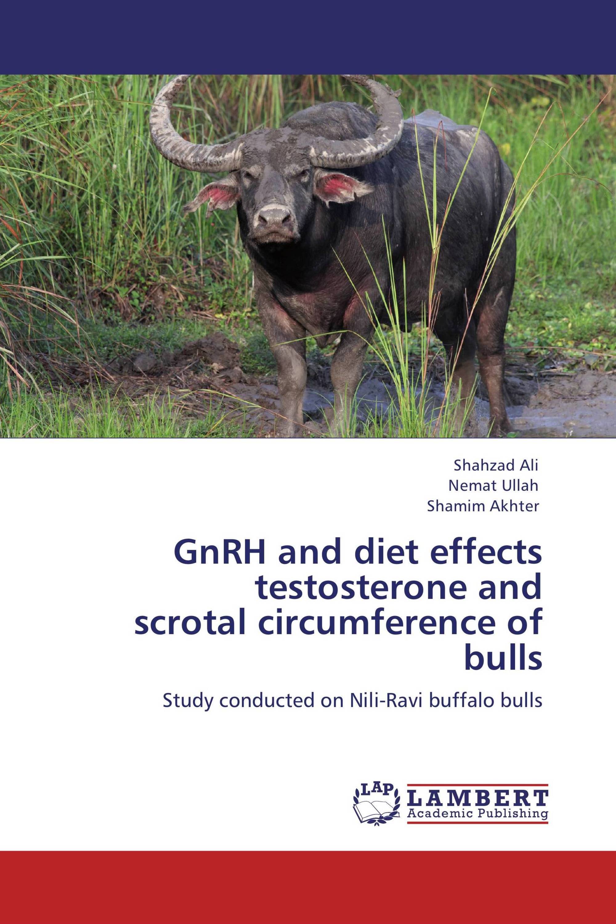 GnRH and diet effects testosterone and  scrotal circumference of bulls