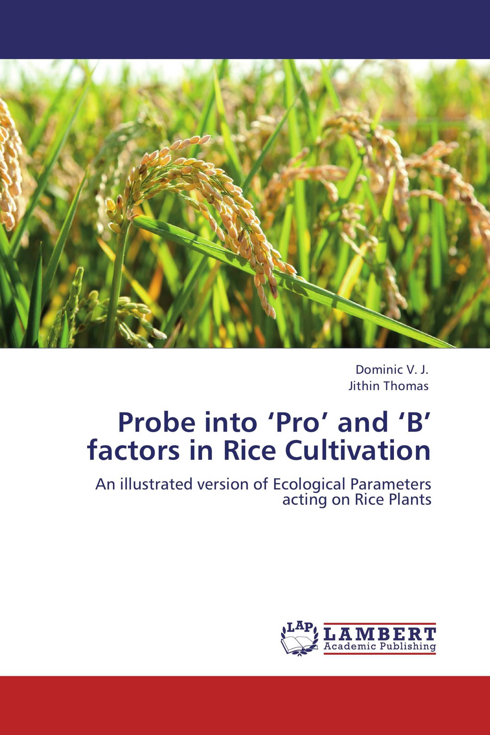 Probe into ‘Pro’ and ‘B’ factors in Rice Cultivation