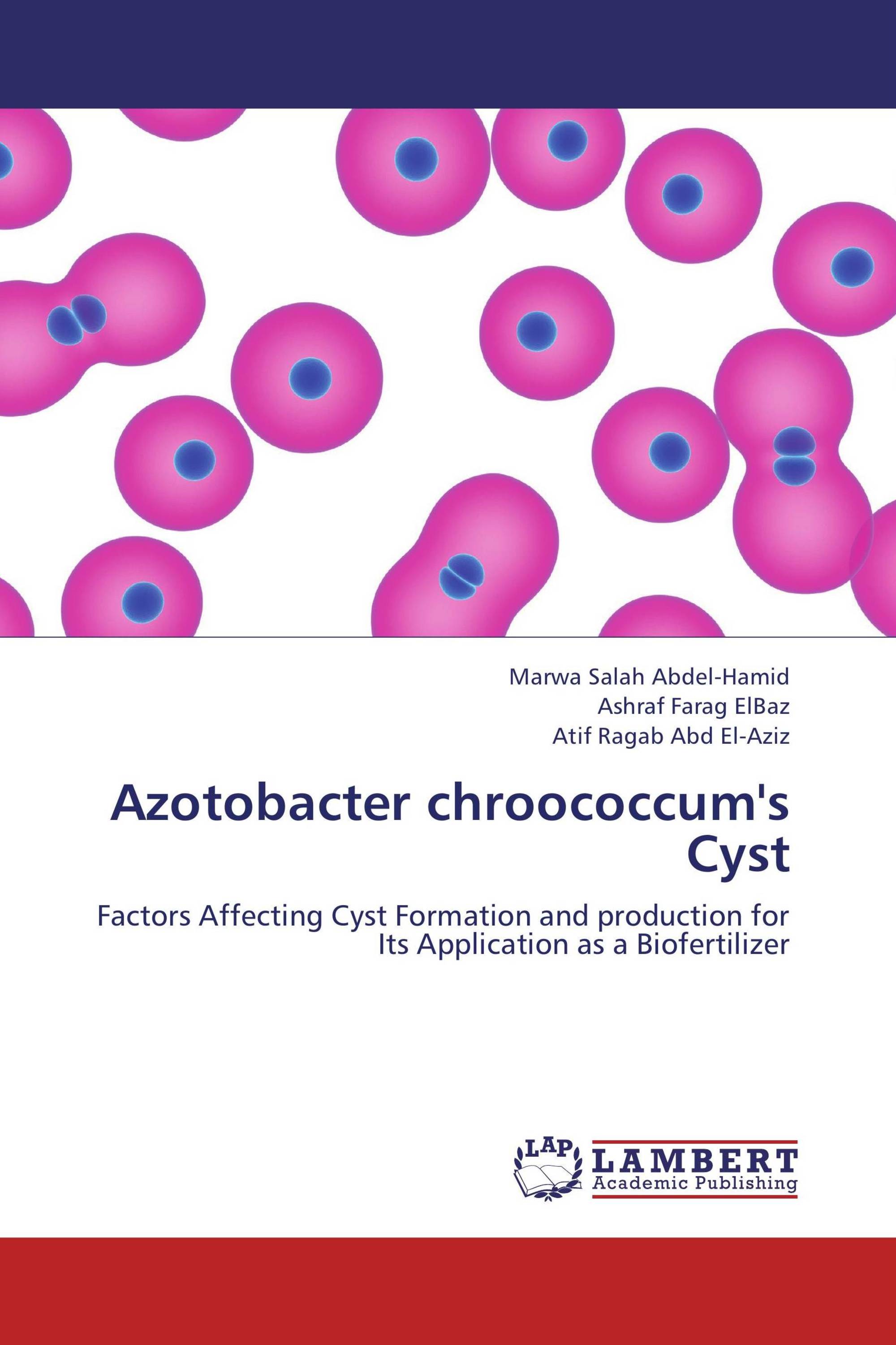 Azotobacter function image