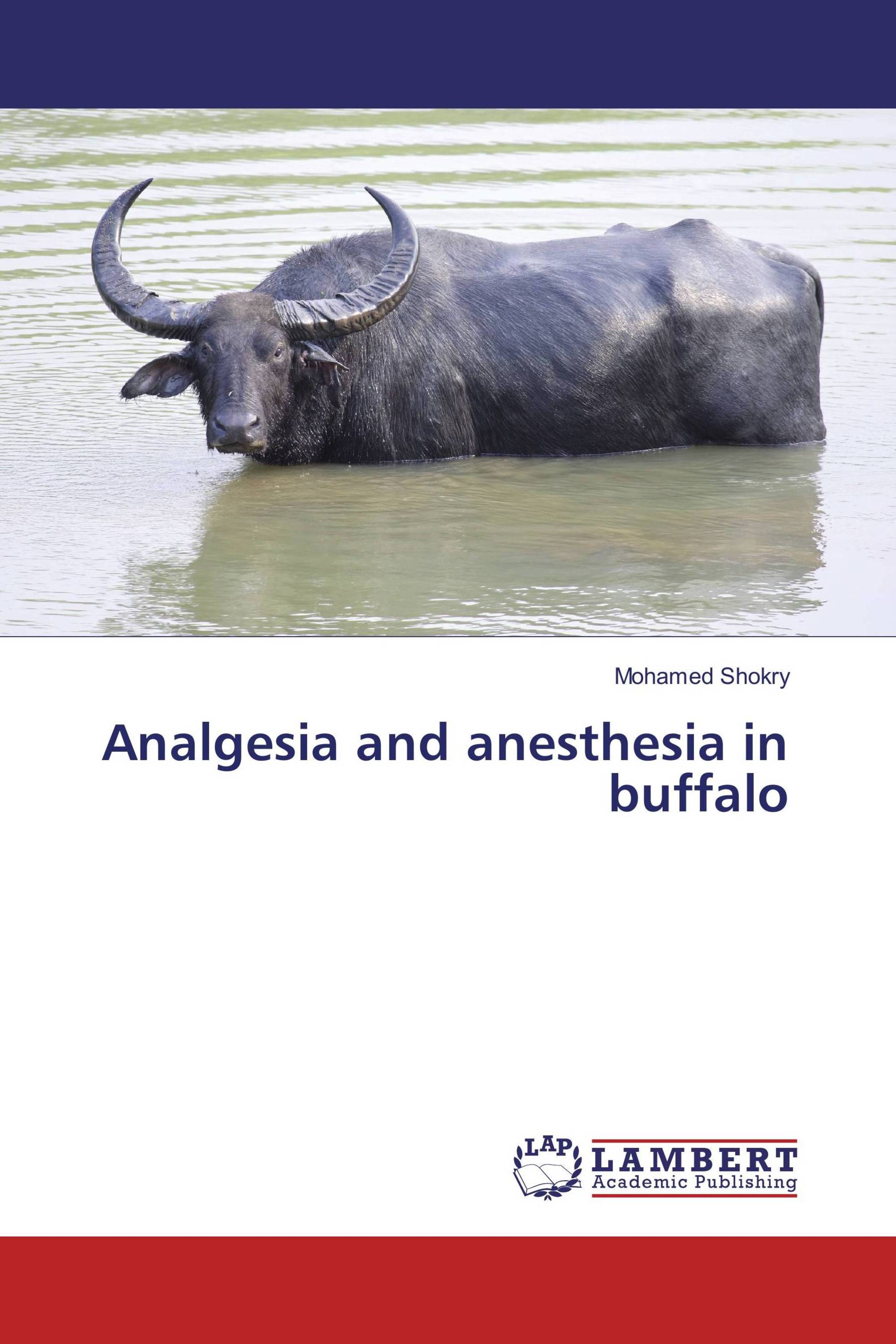 Analgesia and anesthesia in buffalo