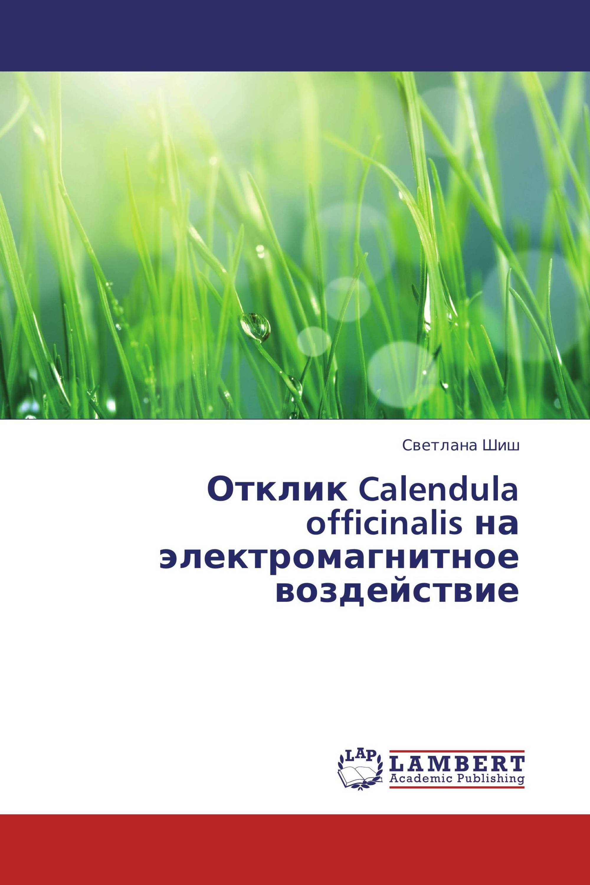 Отклик Calendula officinalis на электромагнитное воздействие