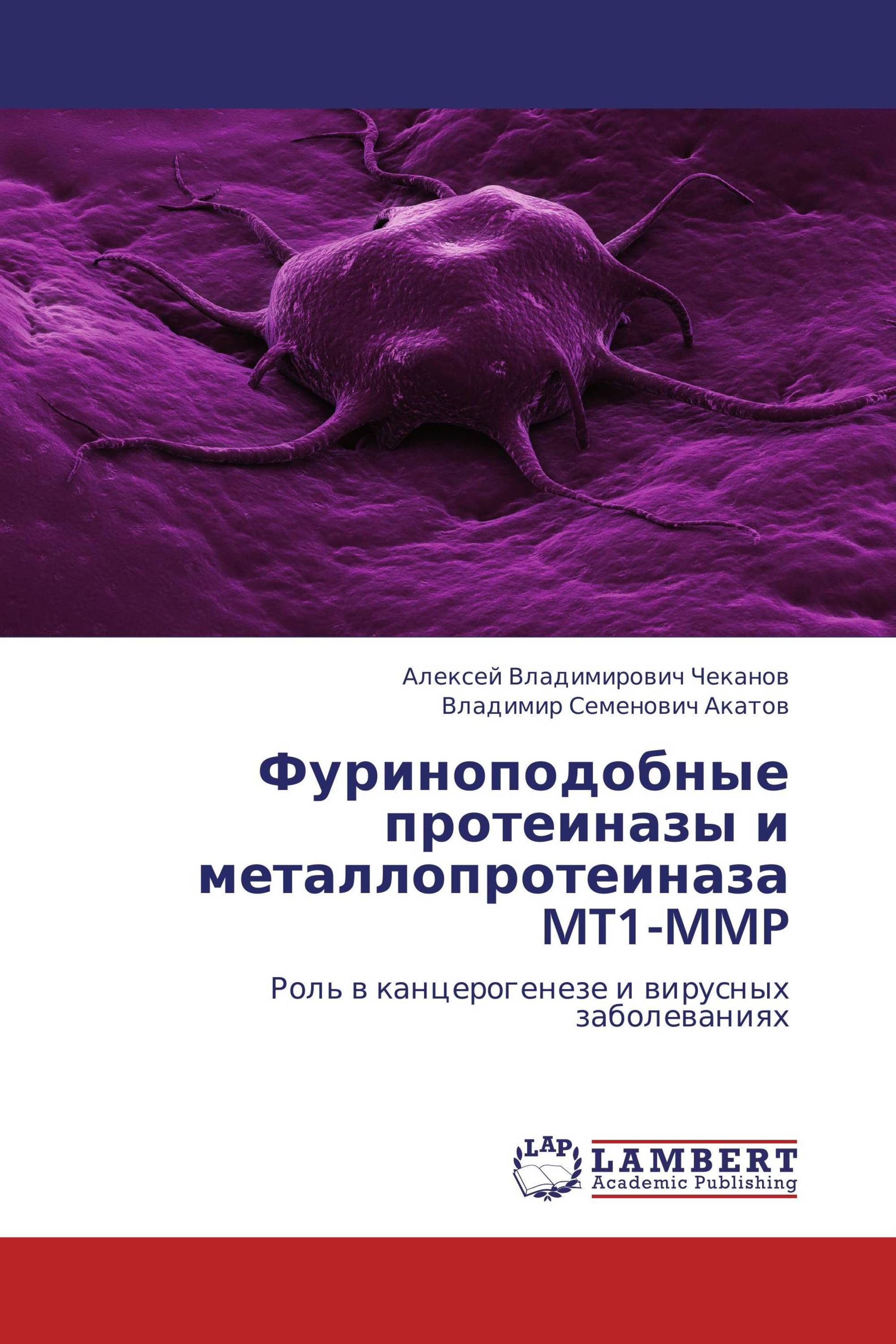 Фуриноподобные протеиназы и металлопротеиназа MT1-MMP