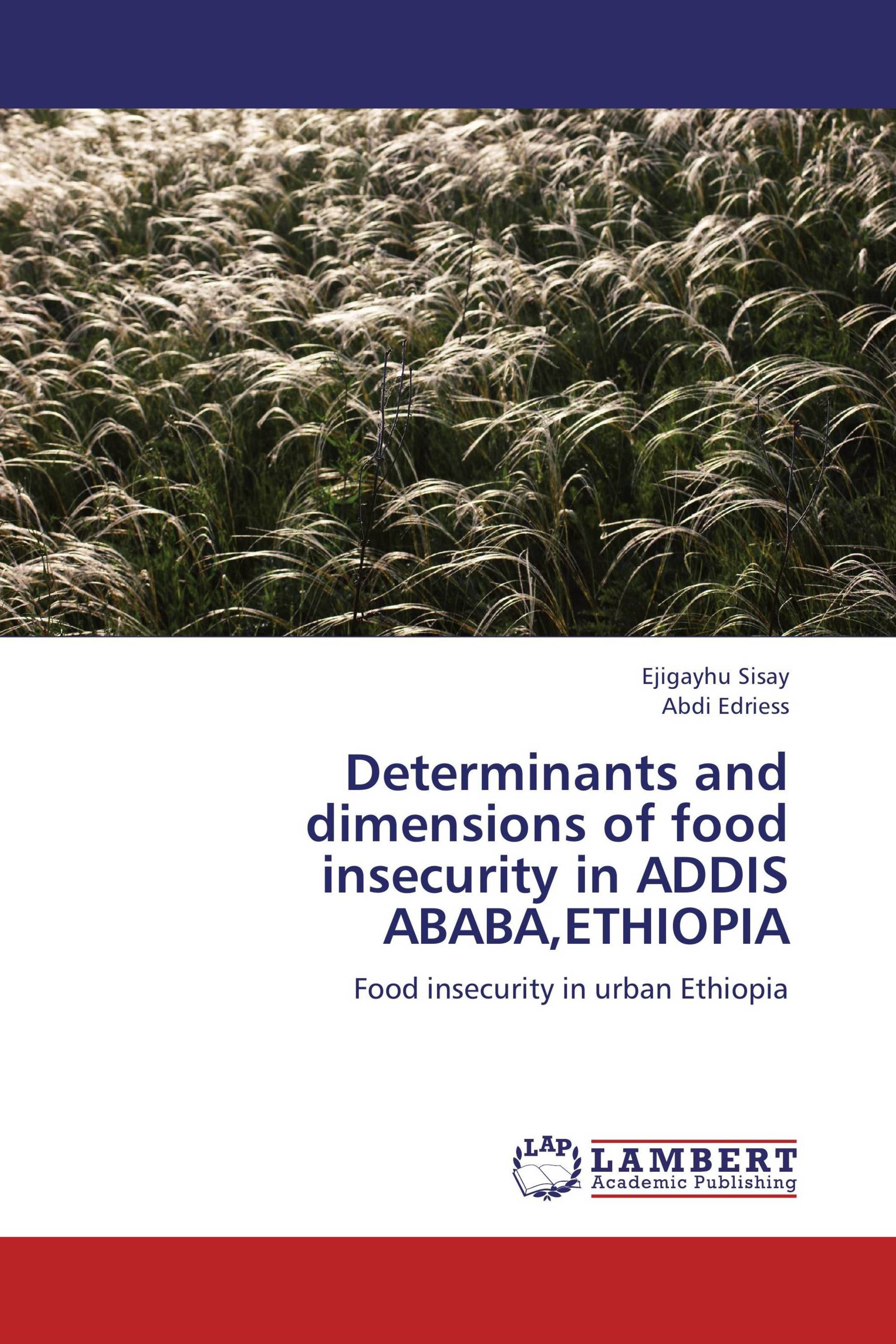 Determinants and dimensions of food insecurity in ADDIS ABABA,ETHIOPIA