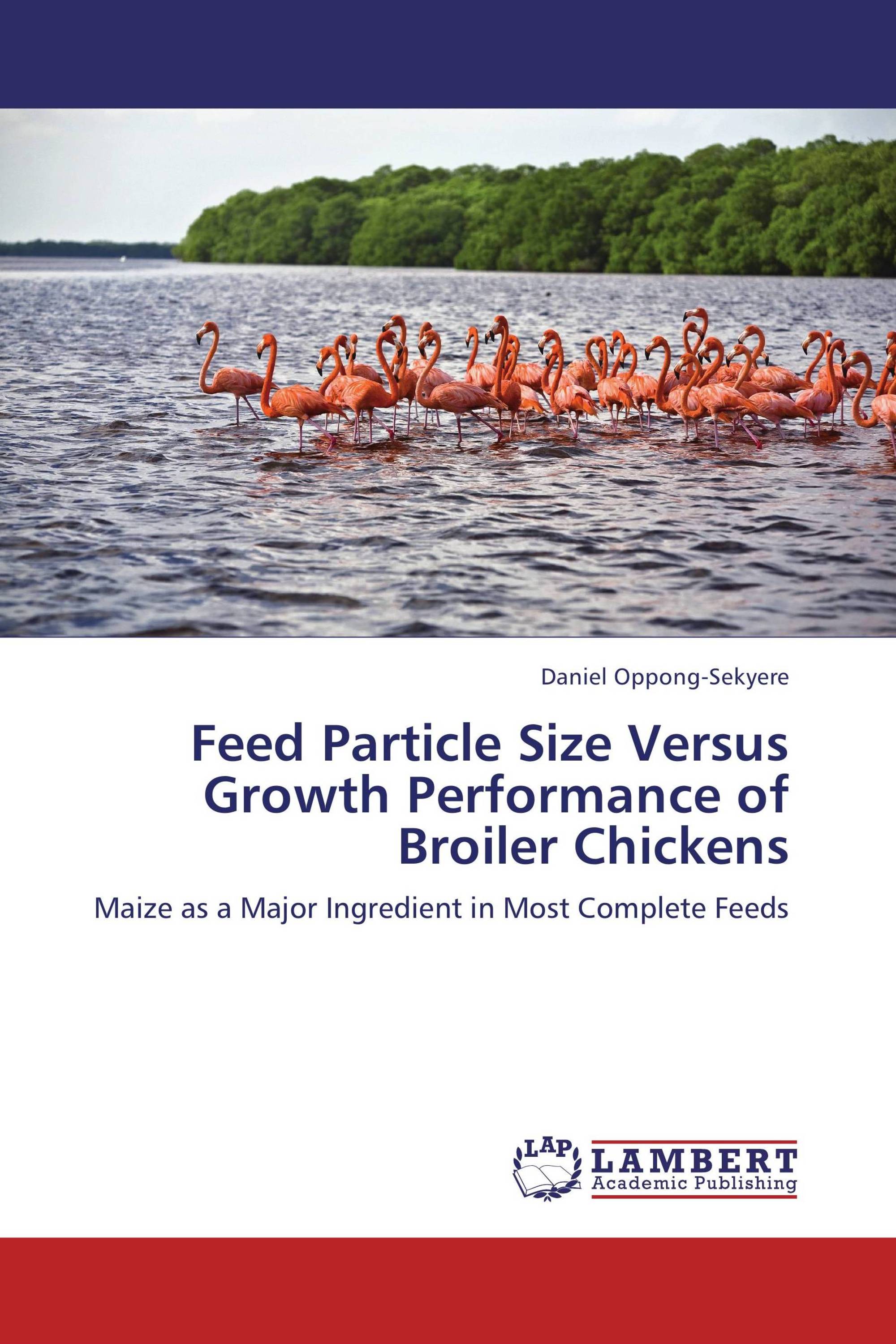 Broiler chicken research image