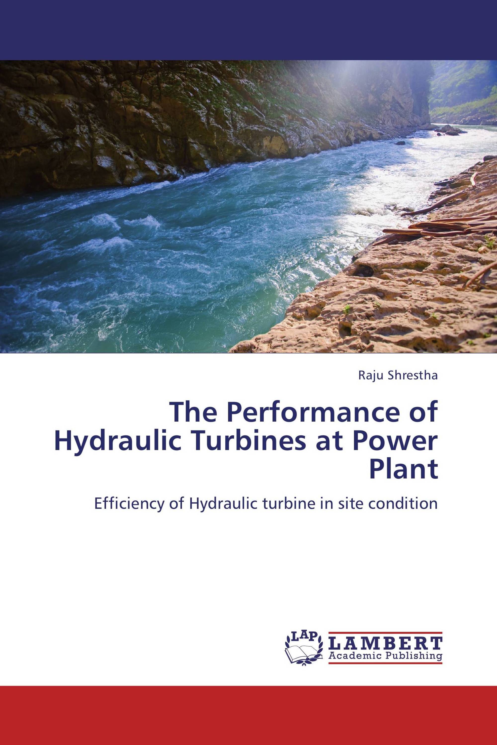 The Performance of Hydraulic Turbines at Power Plant / 978365919130