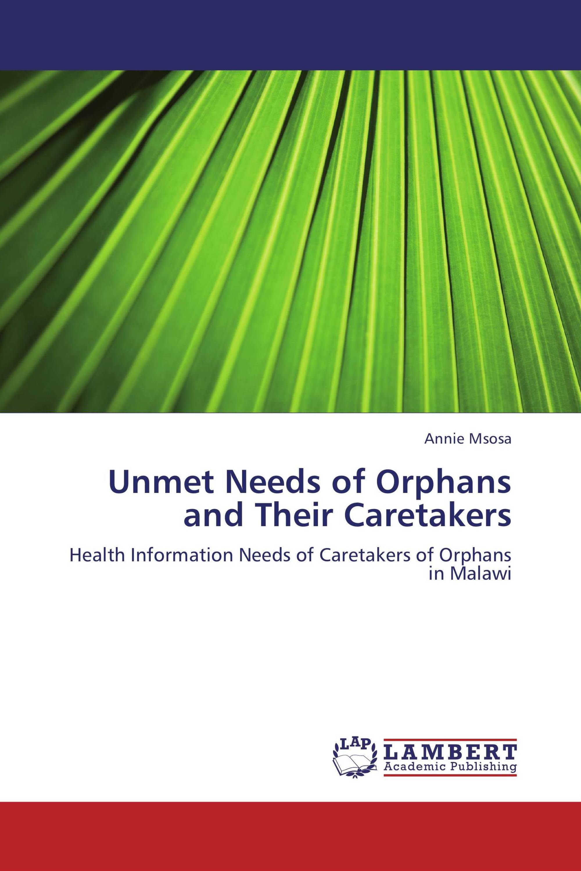 Unmet Needs of Orphans and Their Caretakers