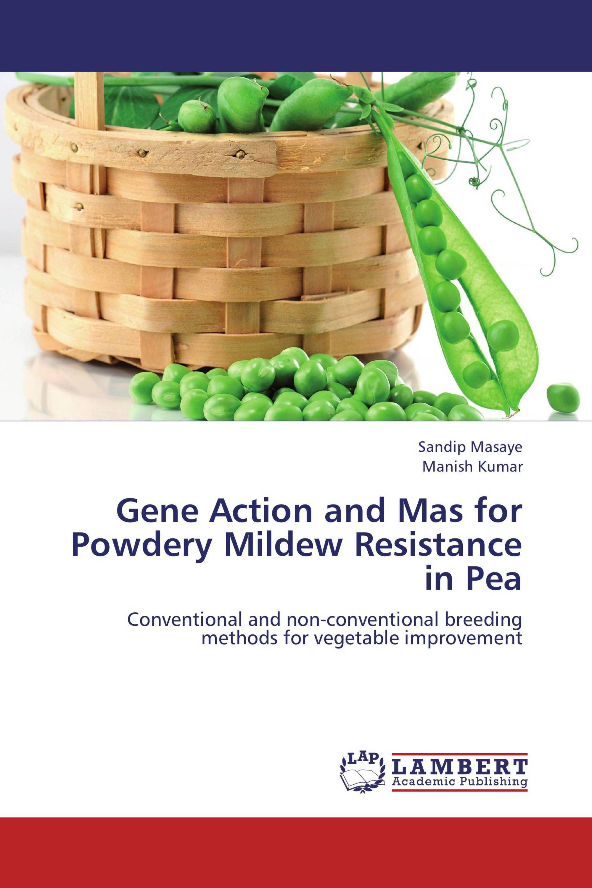 Gene Action and Mas for Powdery Mildew Resistance in Pea