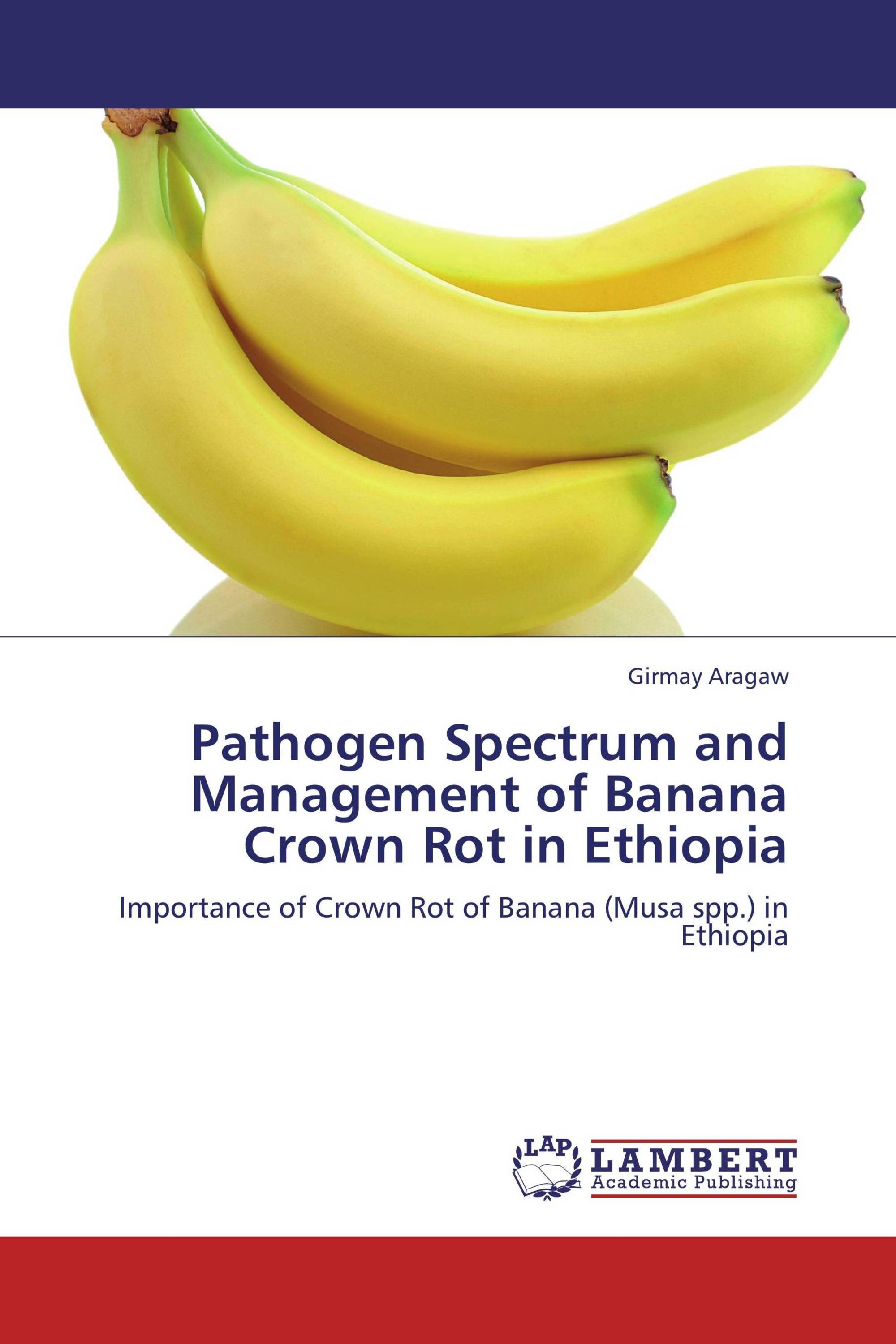 Pathogen Spectrum and Management of Banana Crown Rot in Ethiopia