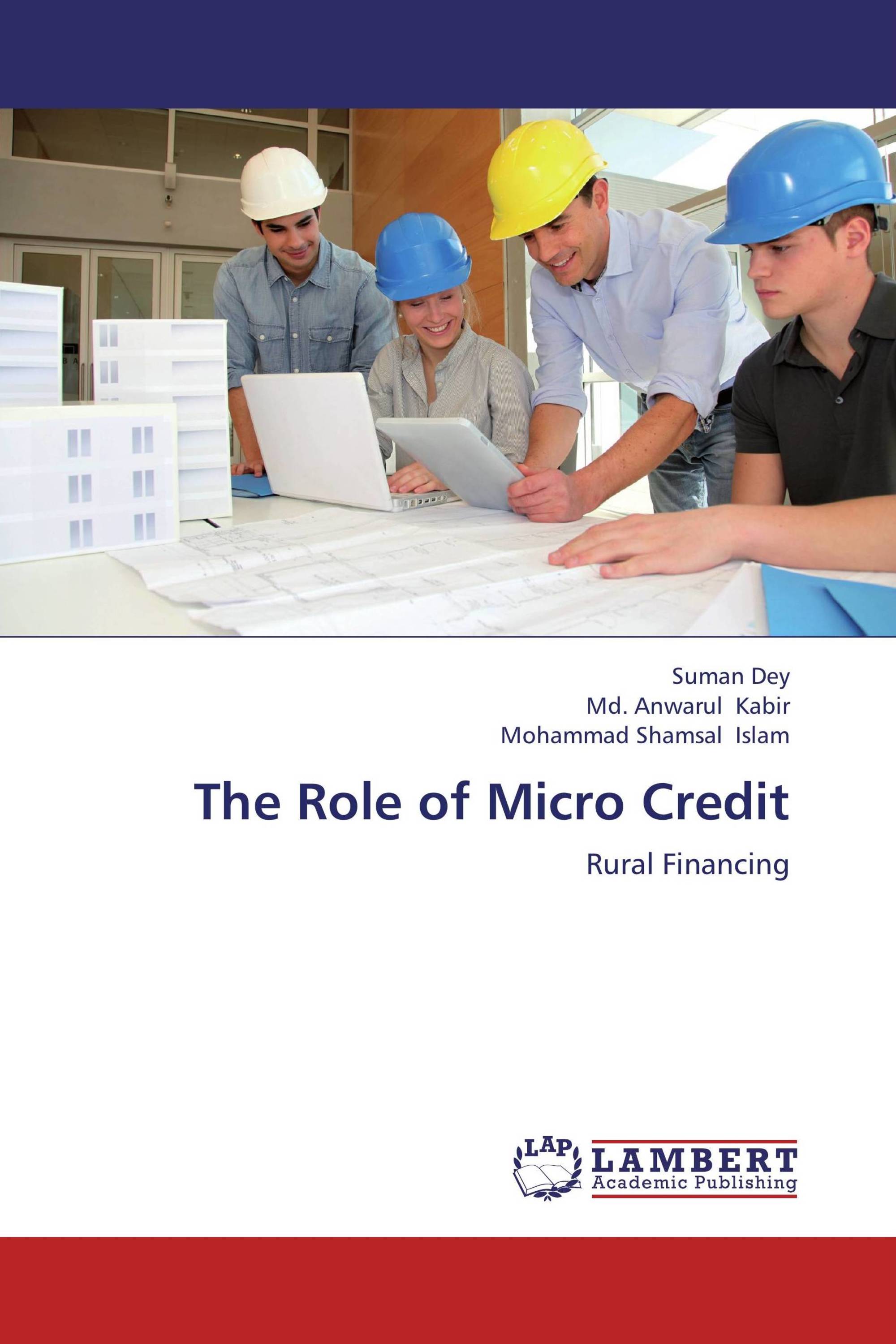 The Role of Micro Credit