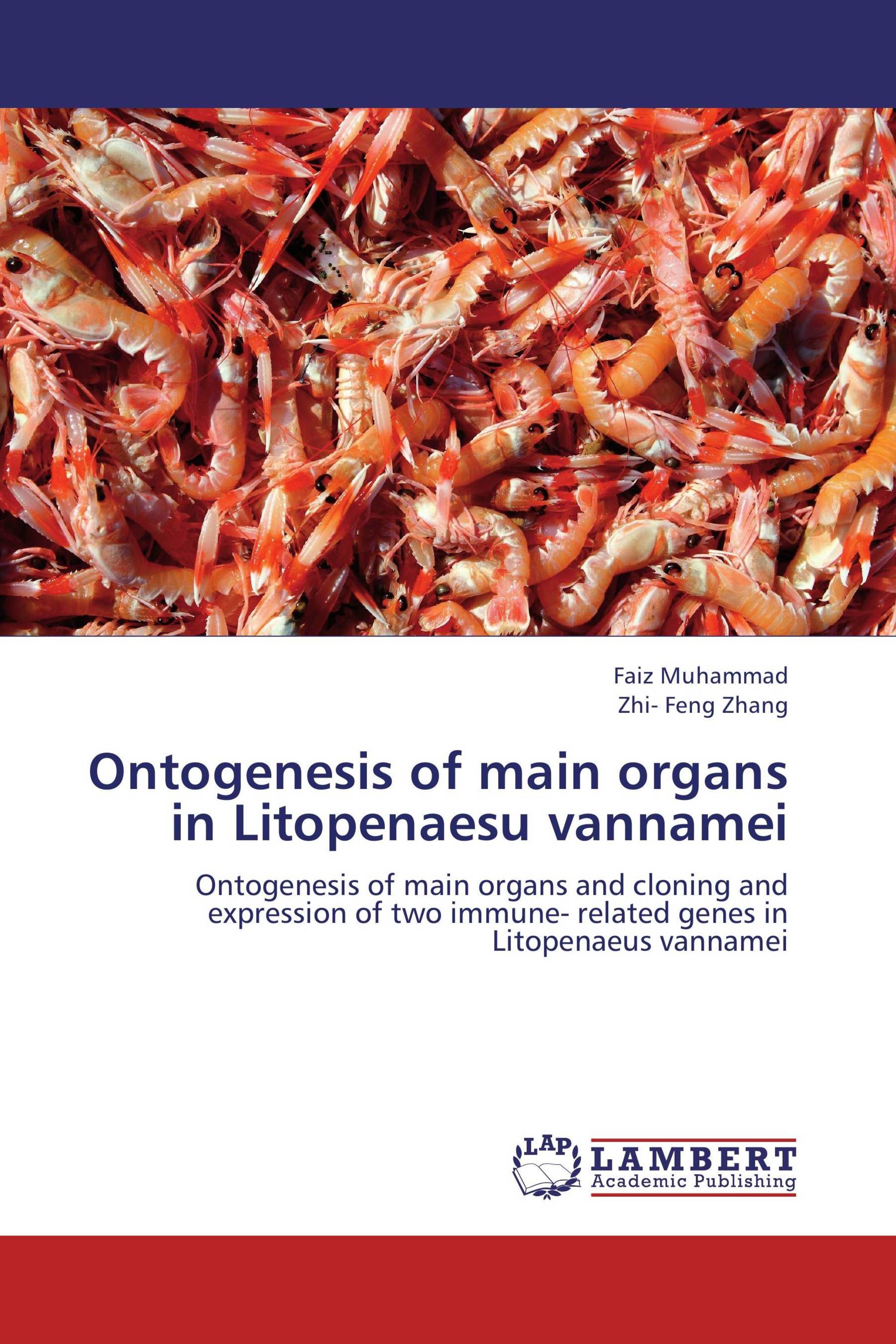 Ontogenesis of main organs in Litopenaesu vannamei