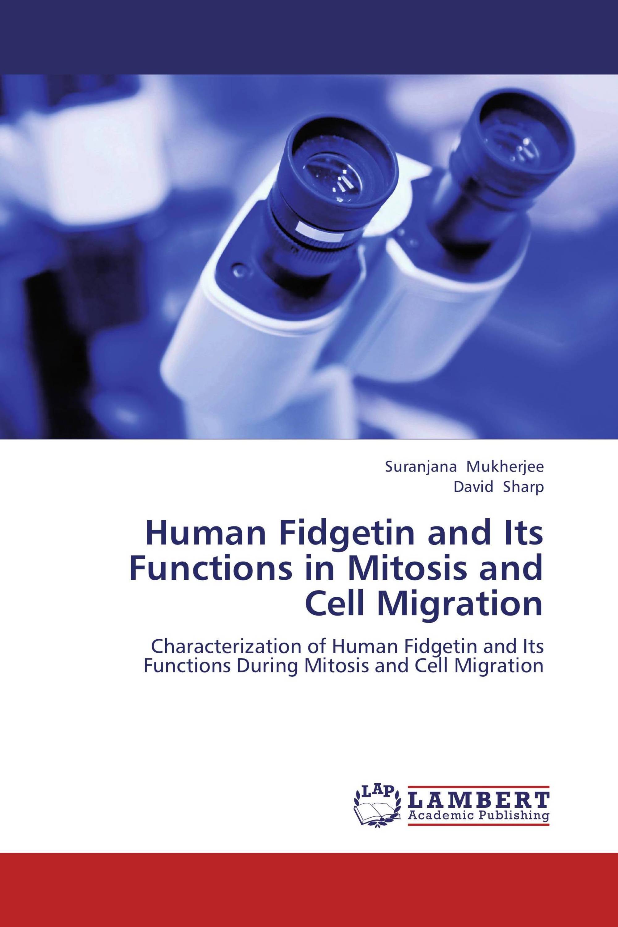 Human Fidgetin and Its Functions in Mitosis and Cell Migration