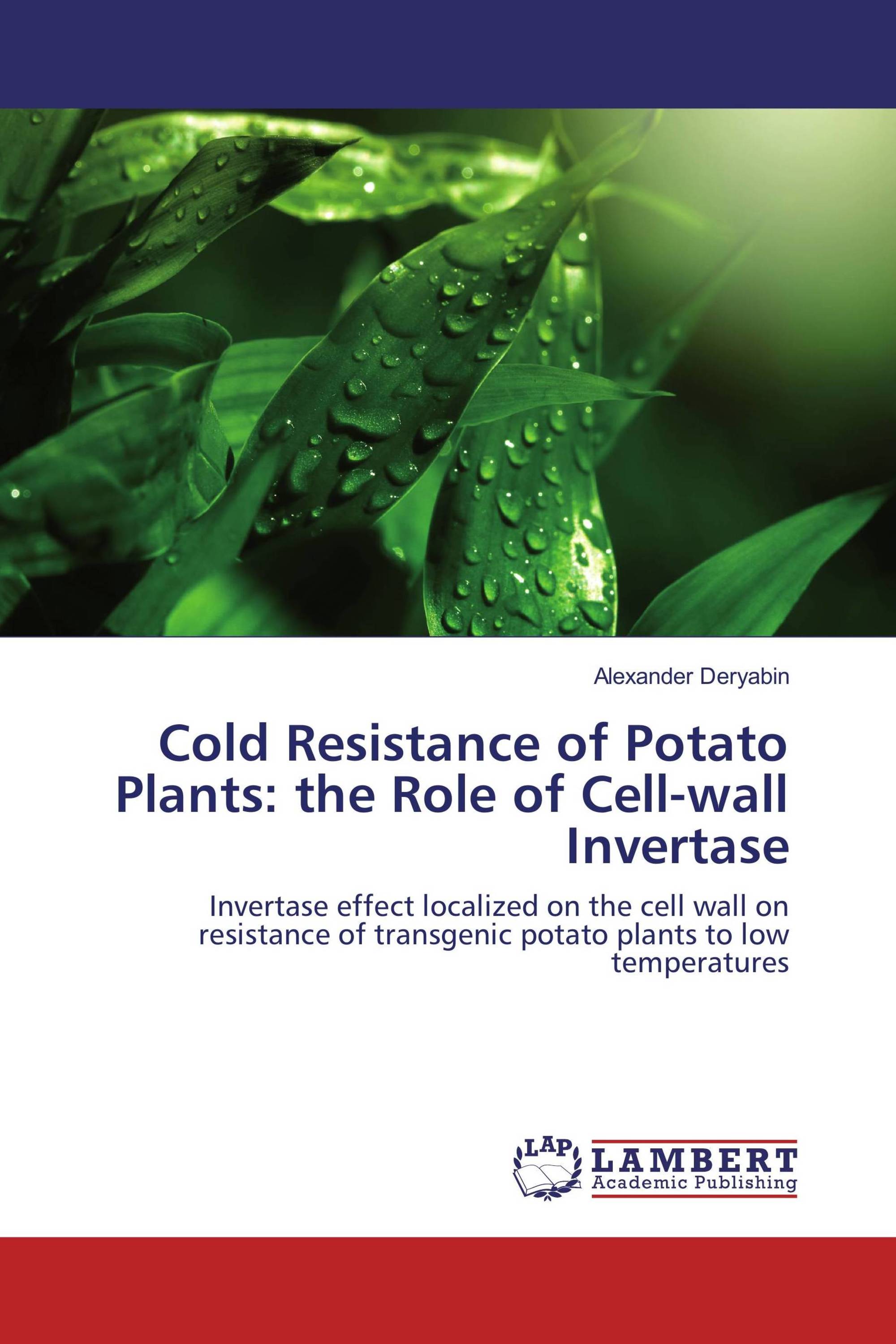 Cold Resistance of Potato Plants: the Role of Cell-wall Invertase