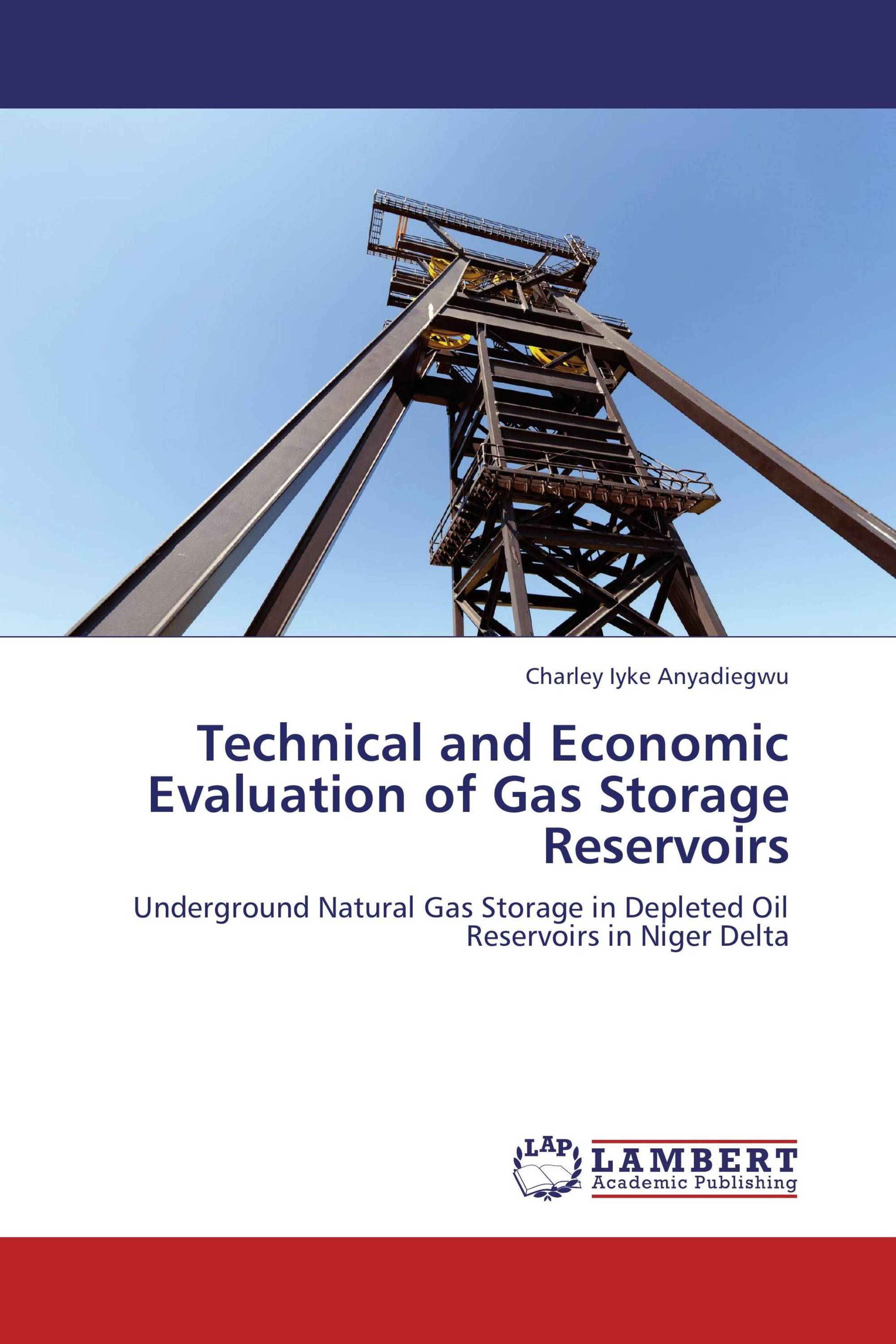 Technical and Economic Evaluation of Gas Storage Reservoirs